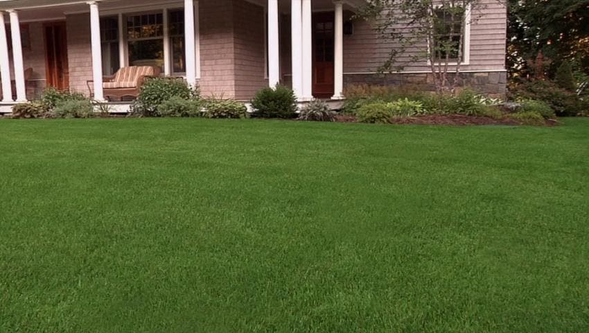 A thumbnail for the video