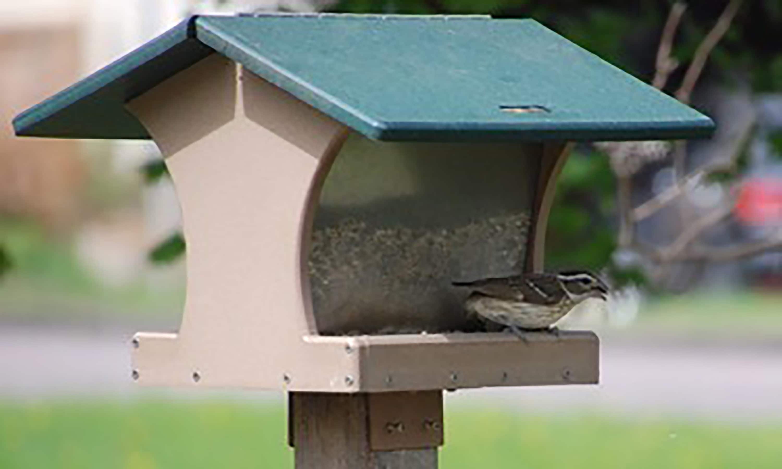 BIRDS CHOICE SN200 Bird-Feeders - View #5