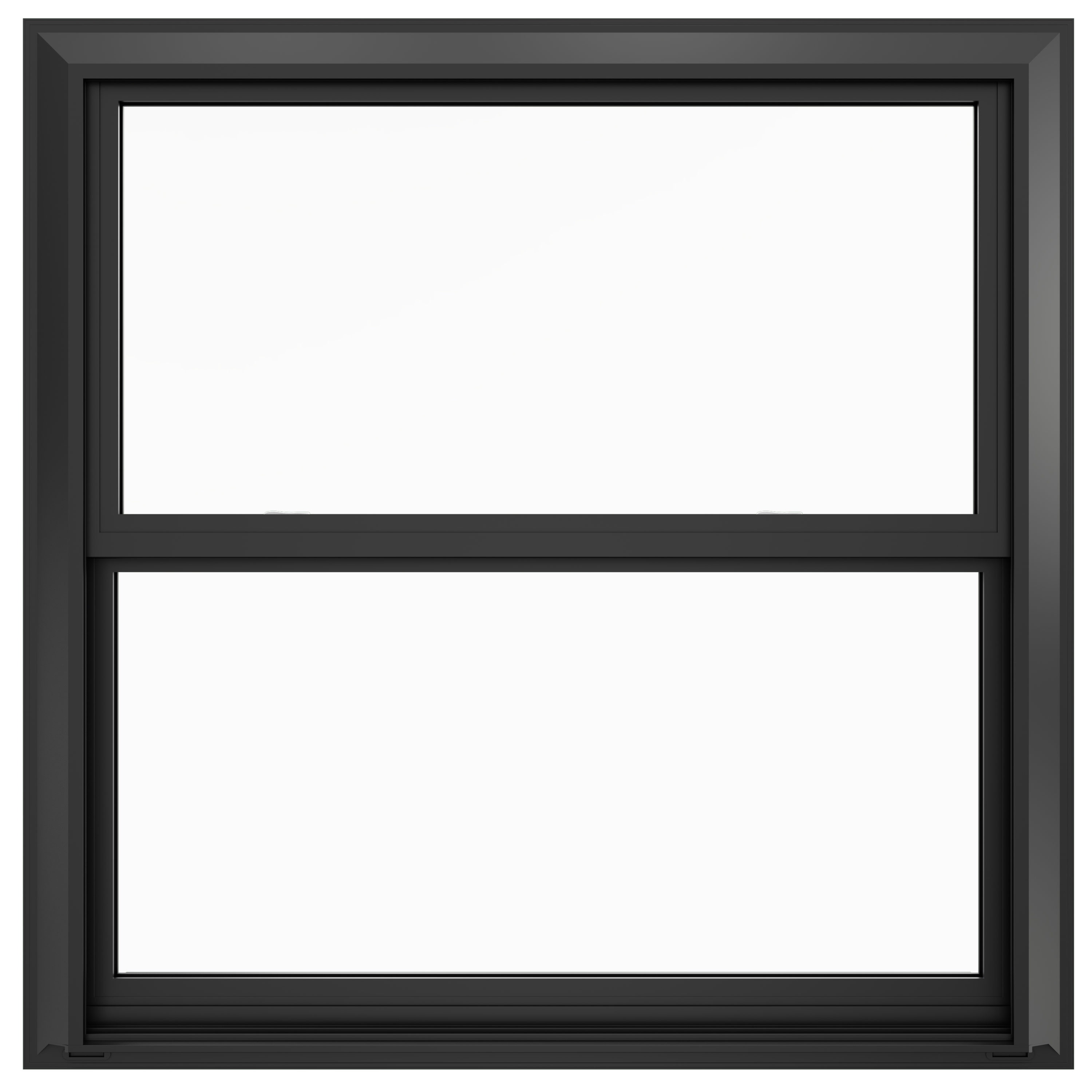 36-in X 36-in Double Hung Windows At Lowes.com