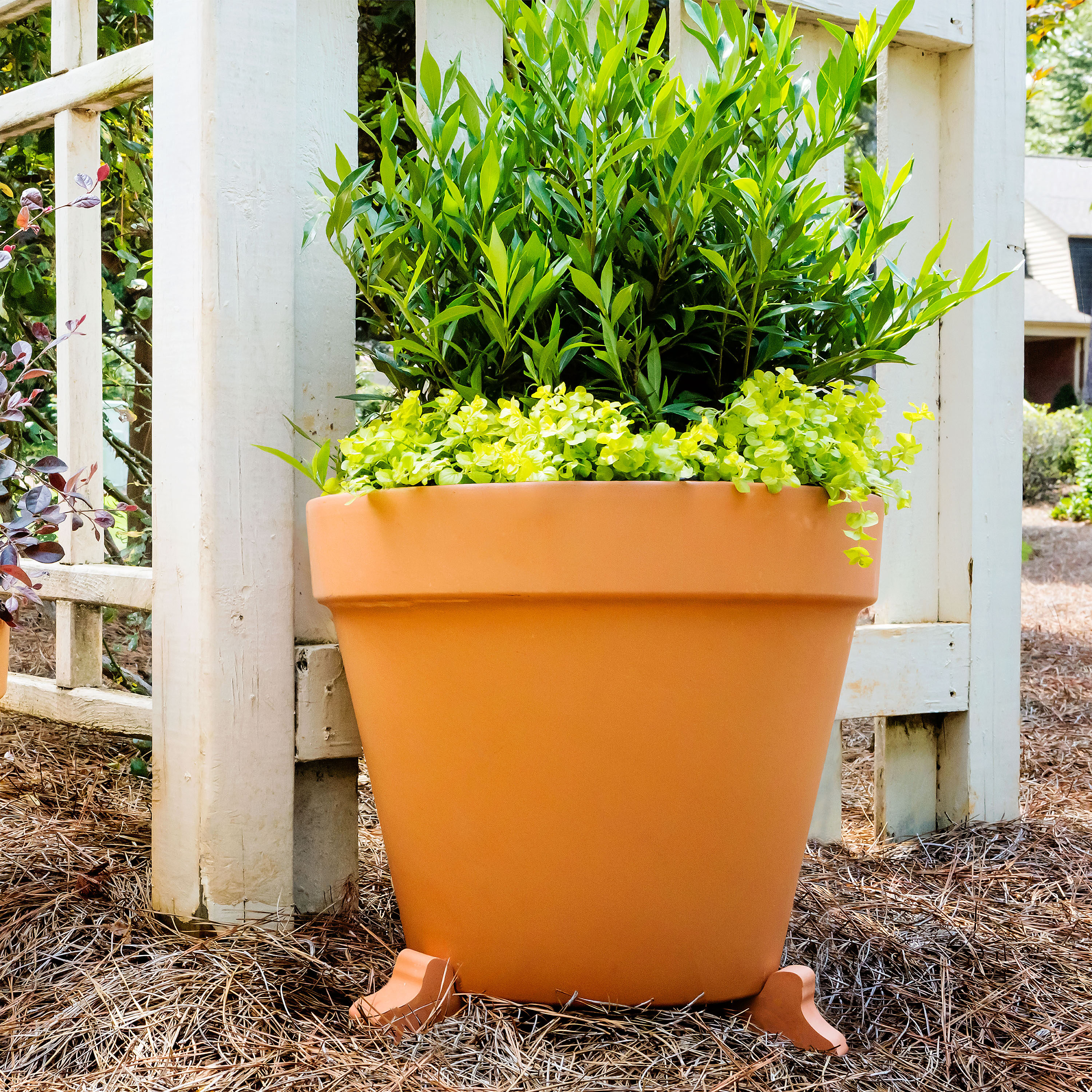 Aged Terracotta Garden Pots - Flared – Farmhouse Pottery