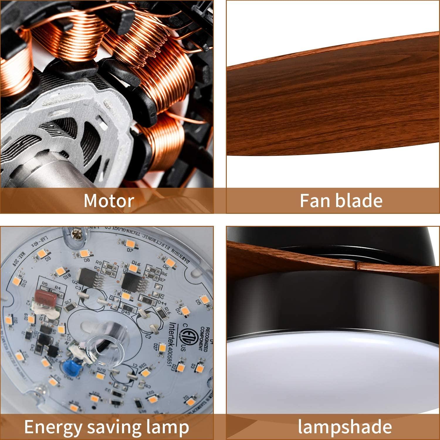Bayfeve BFDS-52CWD-CF Ceiling-Fans - View #6