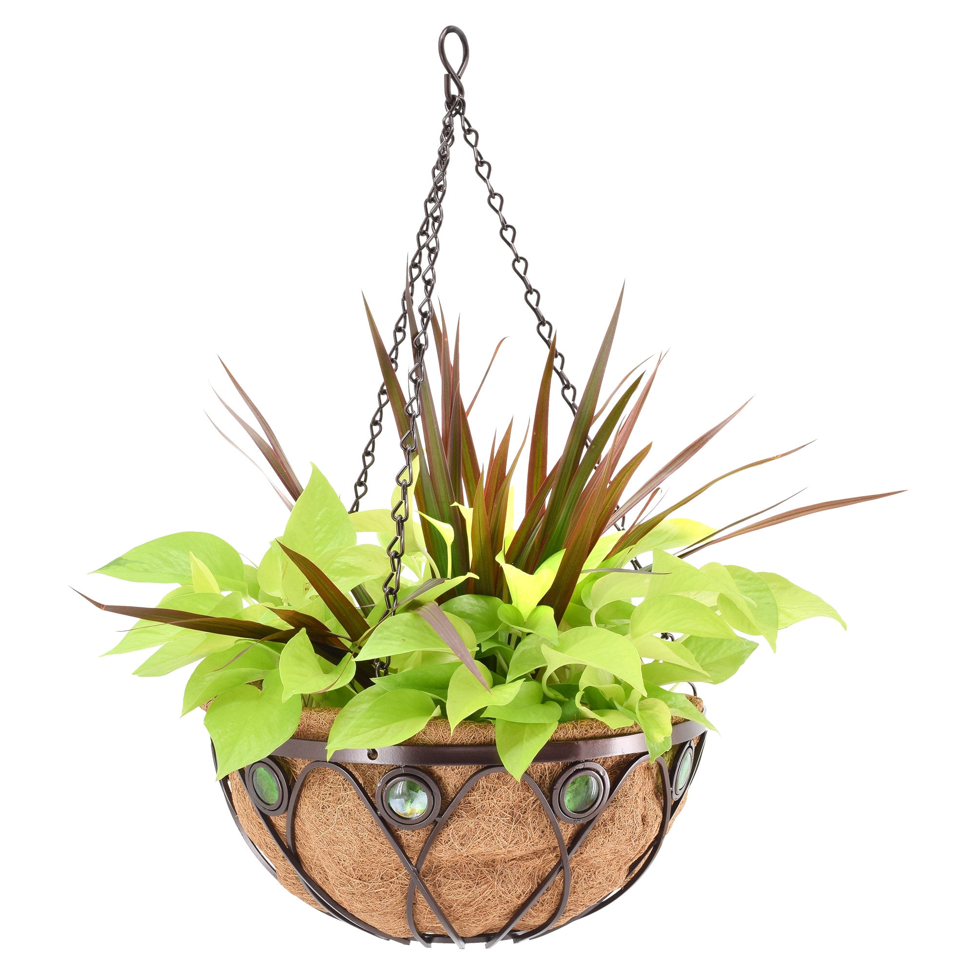 Arcadia Garden Products CB01 Round 14.0-in W x 6-in H x 14-in D Black Metal Indoor/Outdoor Planter