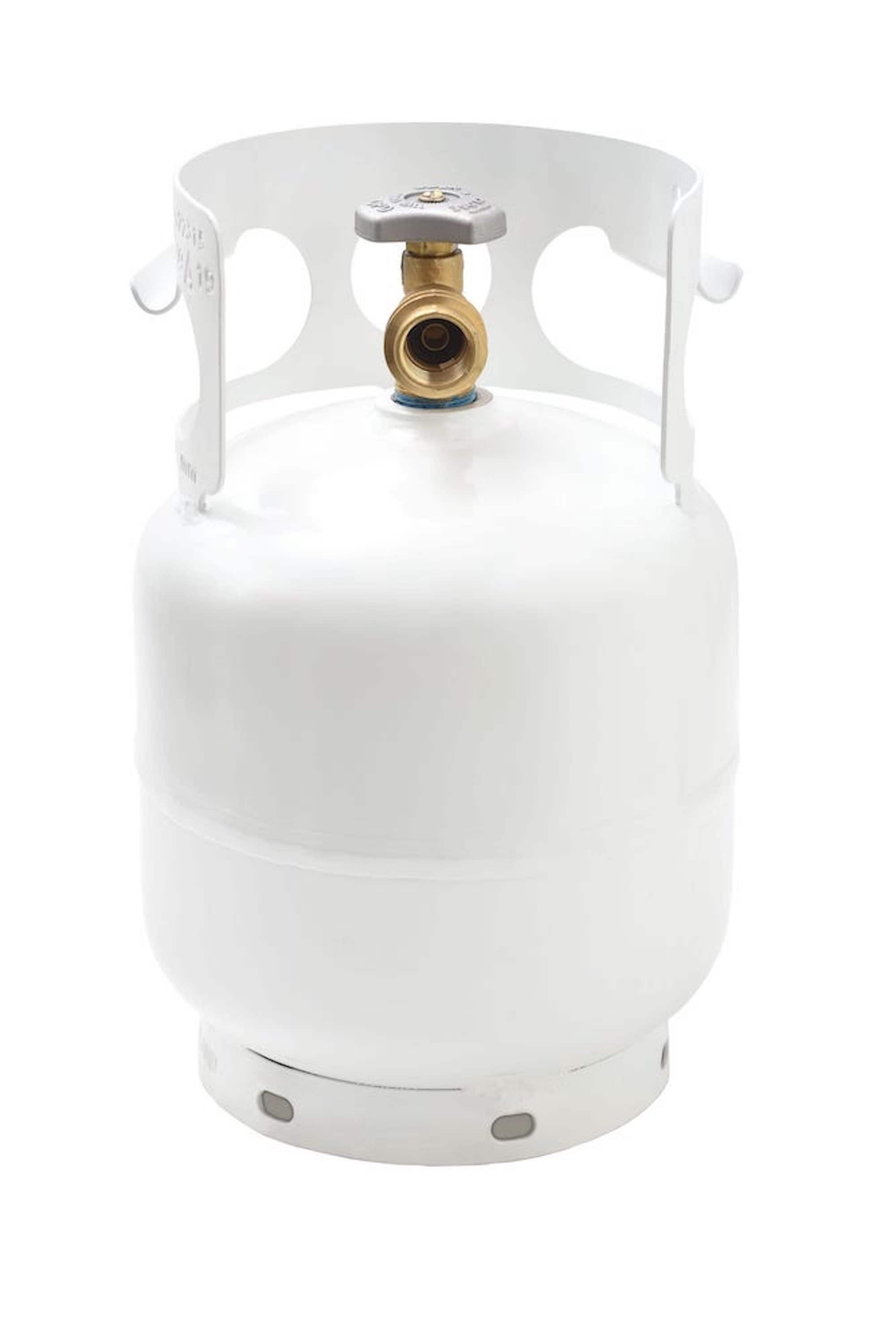 Bernzomatic 2-Pack Green Steel Propane Tanks 8x8x4 Inches Pre-Filled  Lightweight Portable Fuel for Appliances, Grills, Lanterns in the Propane  Tanks & Accessories department at