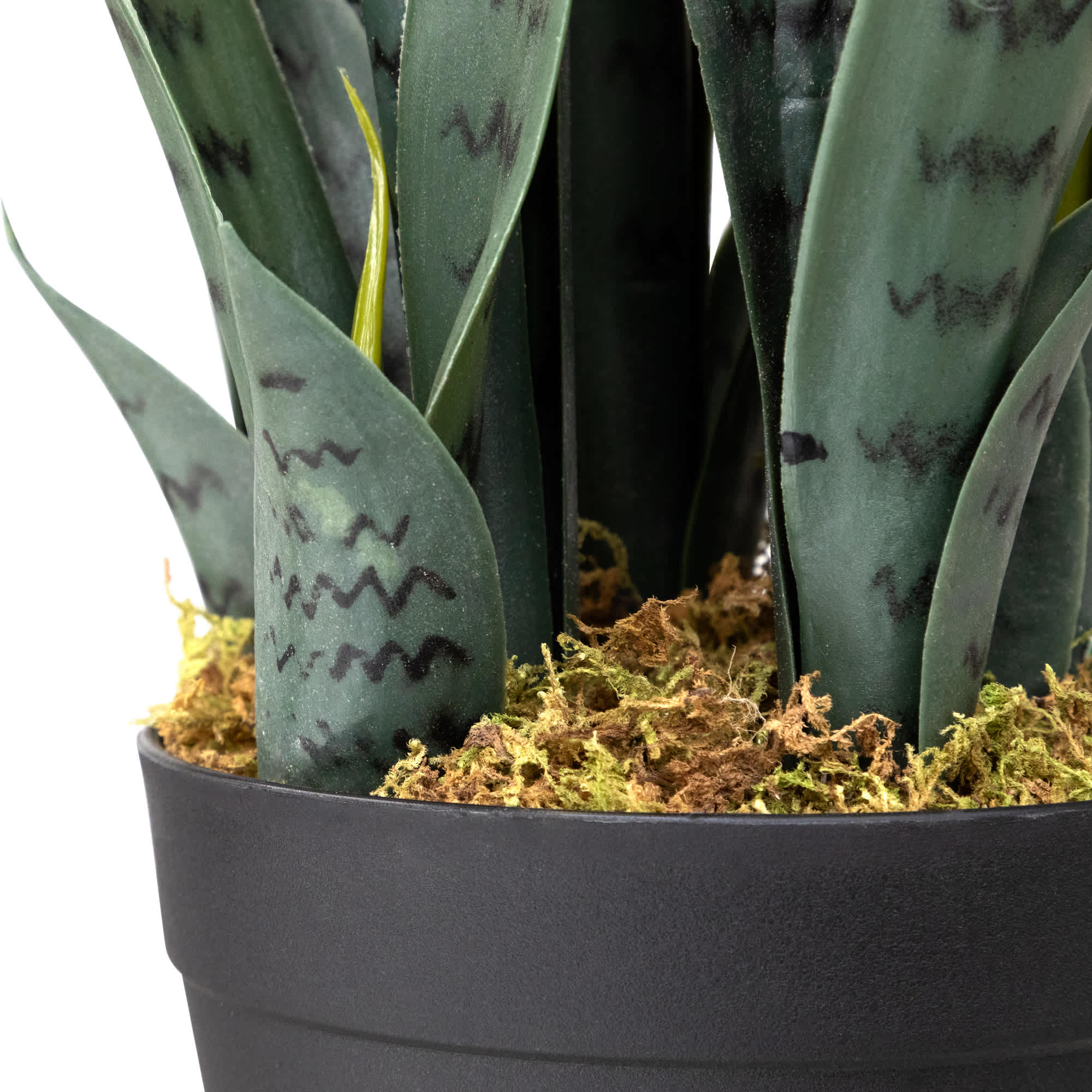 Northlight NORTHLIGHT WN26584 Artificial-Plants-Trees - View #7