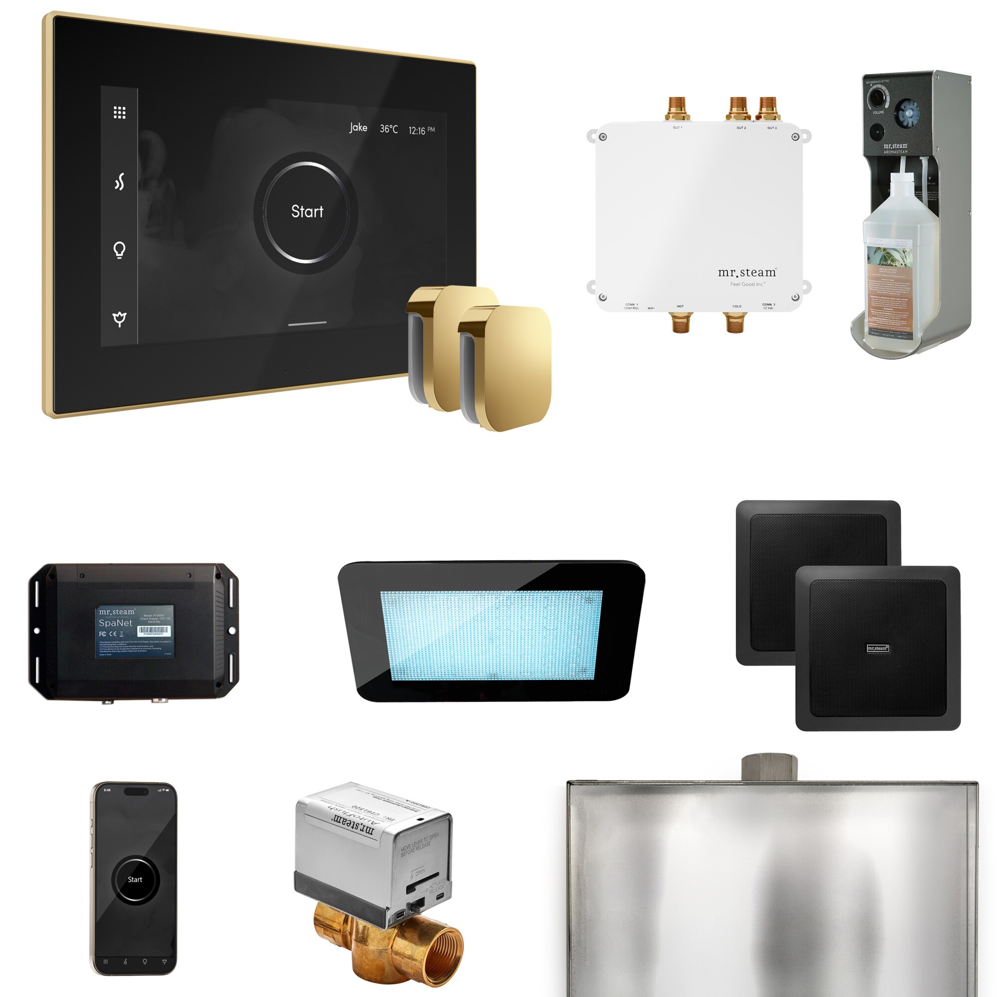 Mr. Steam BLS1-BKXPB Bliss Black - Polished Brass Steam Generator Control Kit