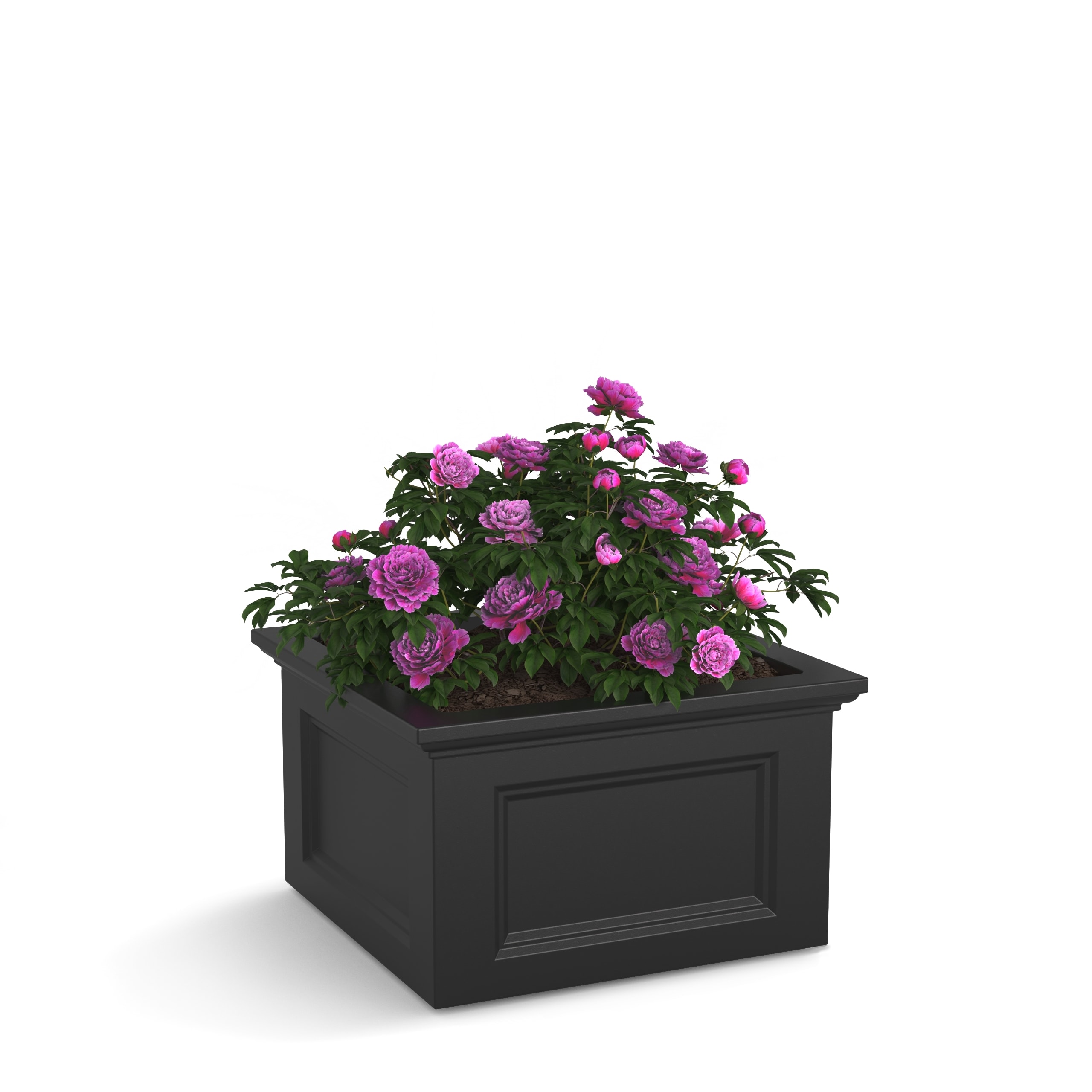 Mayne 4887-B 2.11-cu ft 24-in W x 24-in L x 14-in H Black Plastic Raised Garden Bed