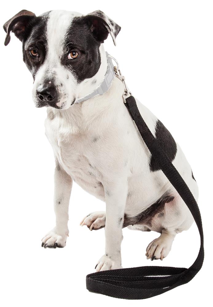 Pet Life LS14BK Dog-Collars-Harnesses - View #2