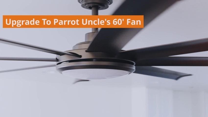 A thumbnail for the video
