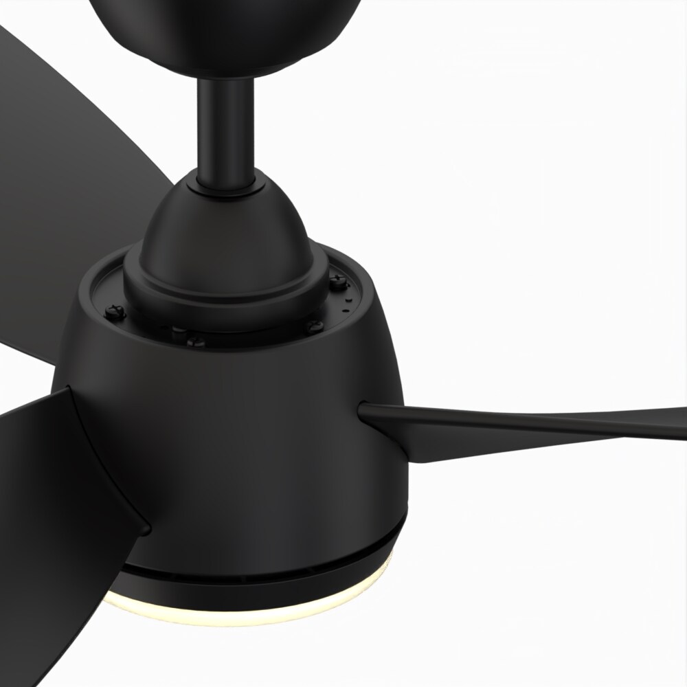 Fanimation Studio Collection LP7675LBL Ceiling-Fans - View #5
