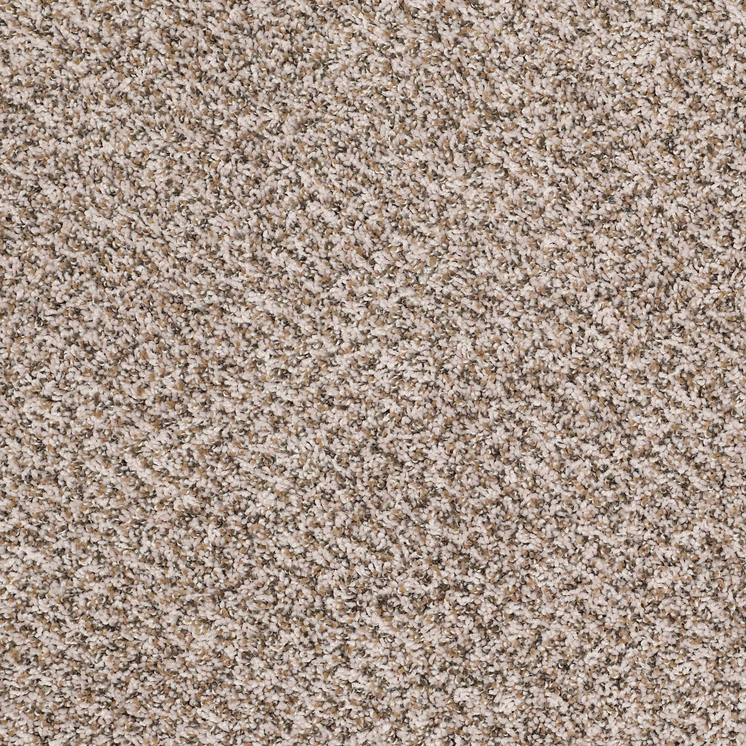 Shaw Wide Width Reclaim RR Heirloom Textured Carpet Sample (Interior)