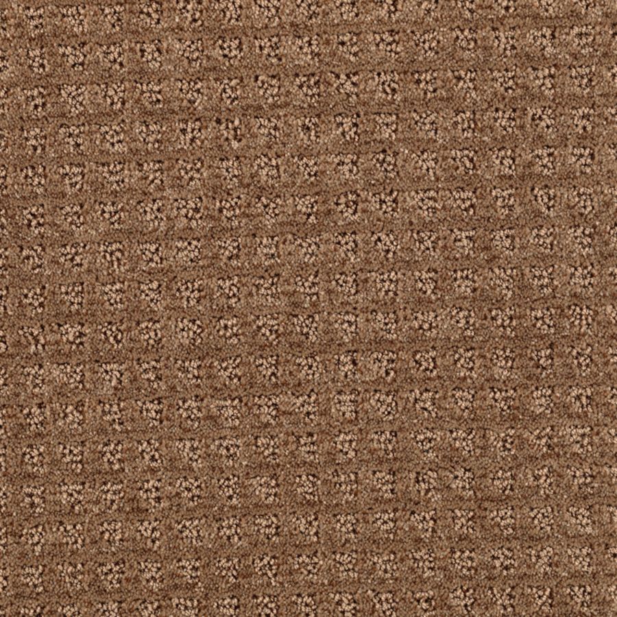 STAINMASTER (Sample) Essentials Designboro Mocha Berber/Loop Carpet at ...