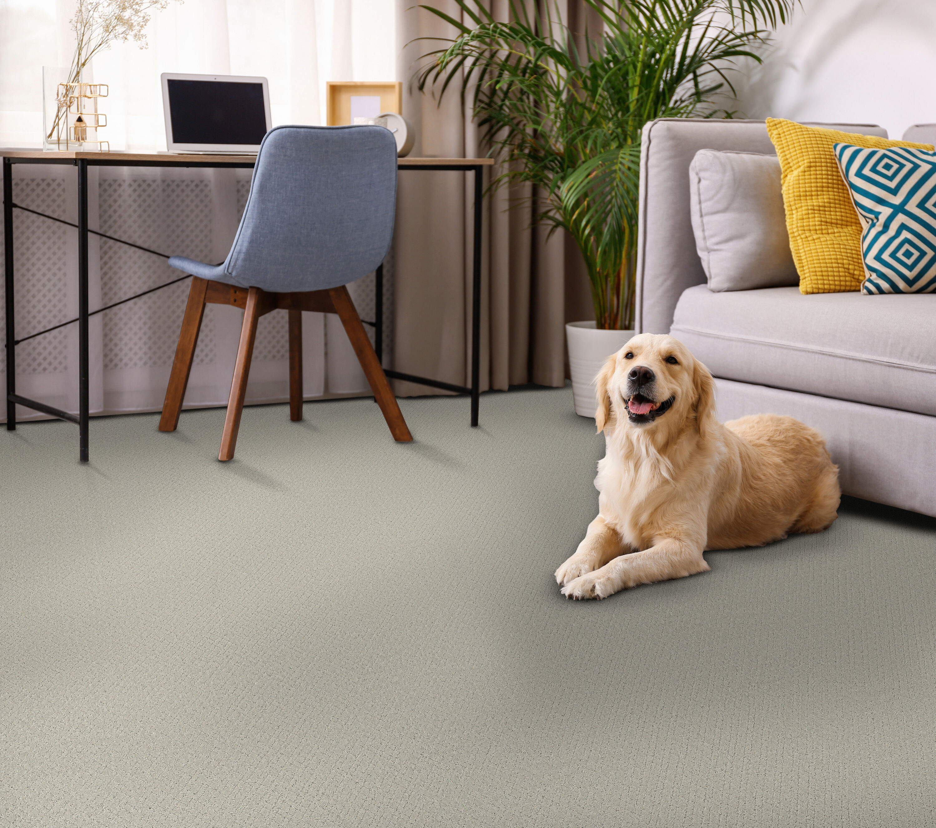 STAINMASTER PetProtect 7L90000542 Carpet-Panel - View #5