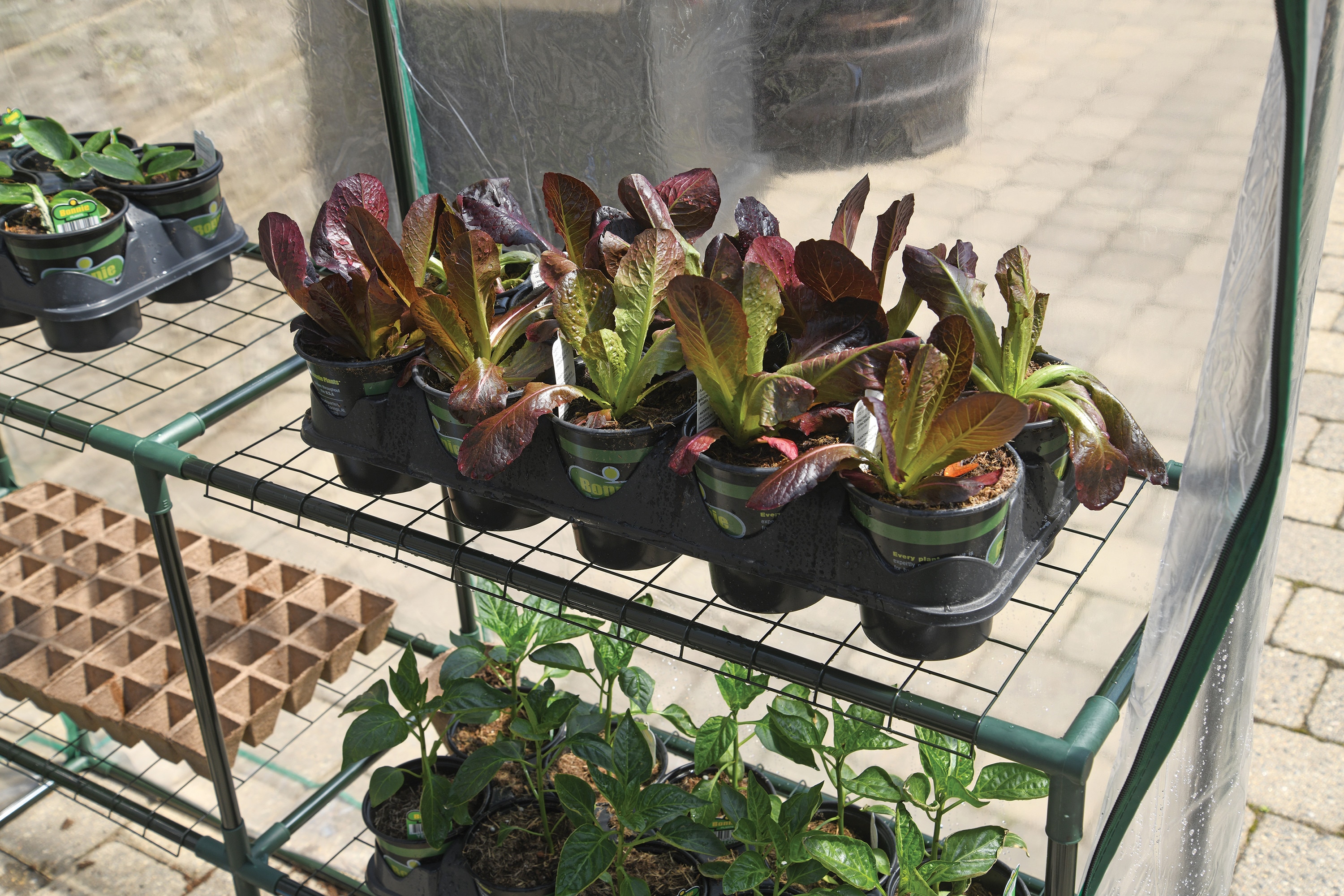 Miracle-Gro 70527 greenhouses - View #15