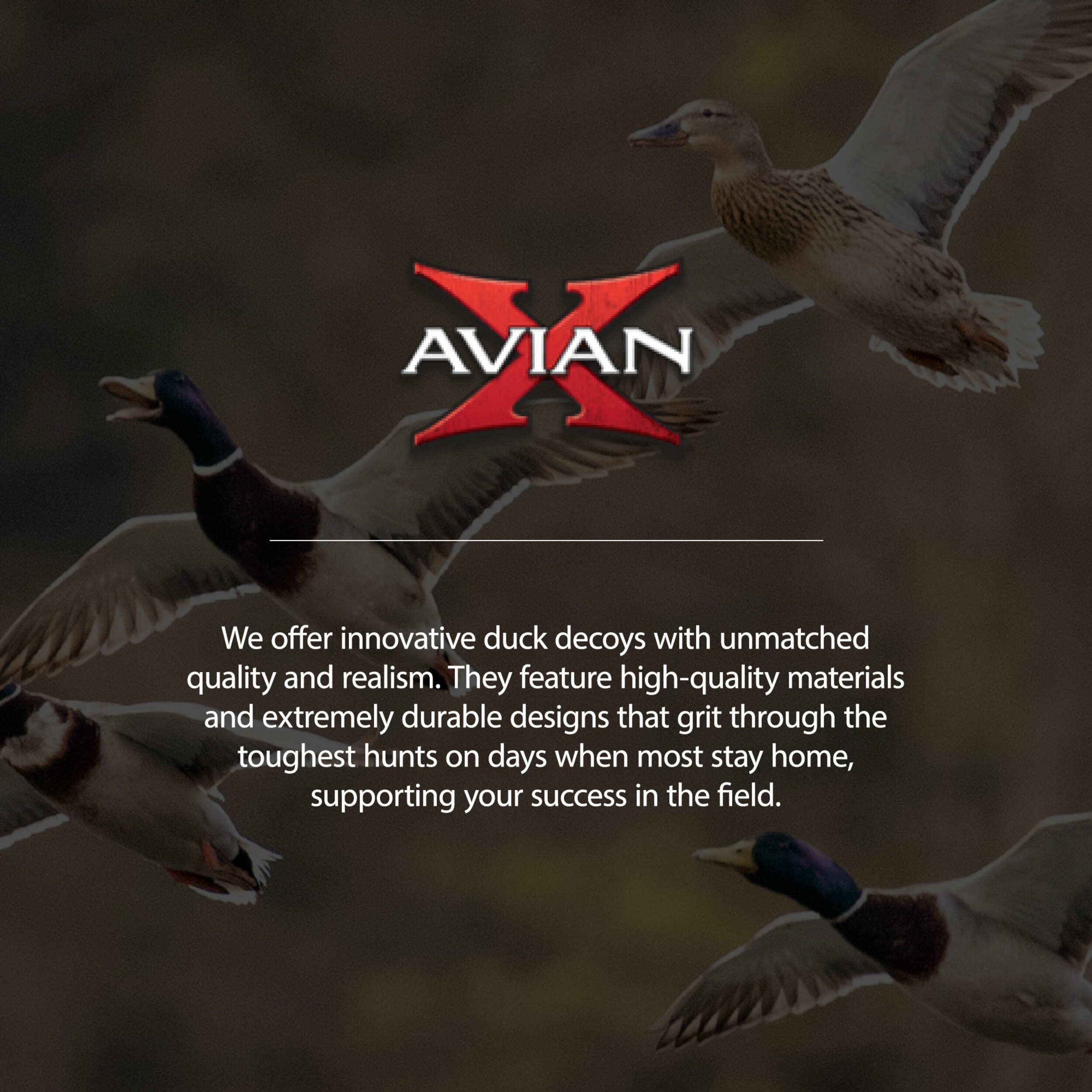  Avian X 408569 Hunting-Equipment - View #4