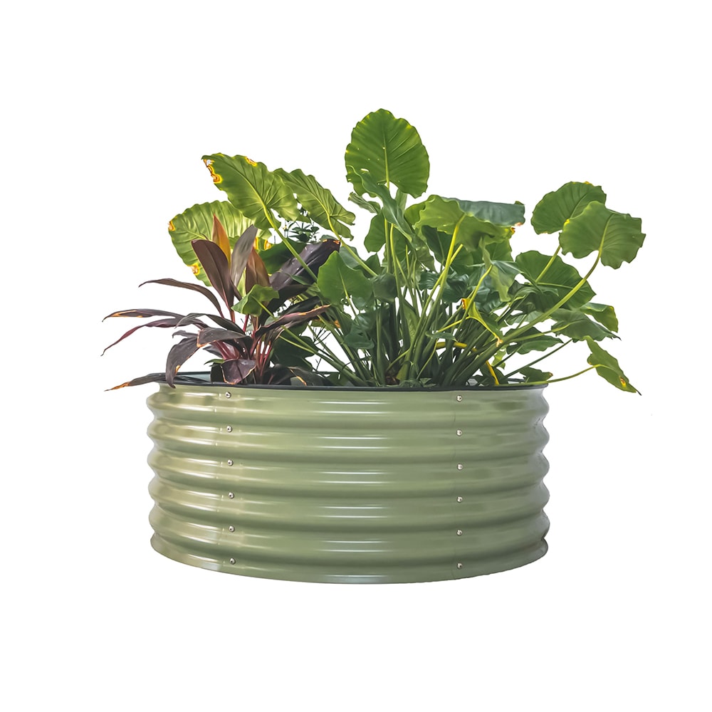Vego Garden VRB4217G 42-in W x 42-in L x 17-in H Olive Green Metal Raised Garden Bed