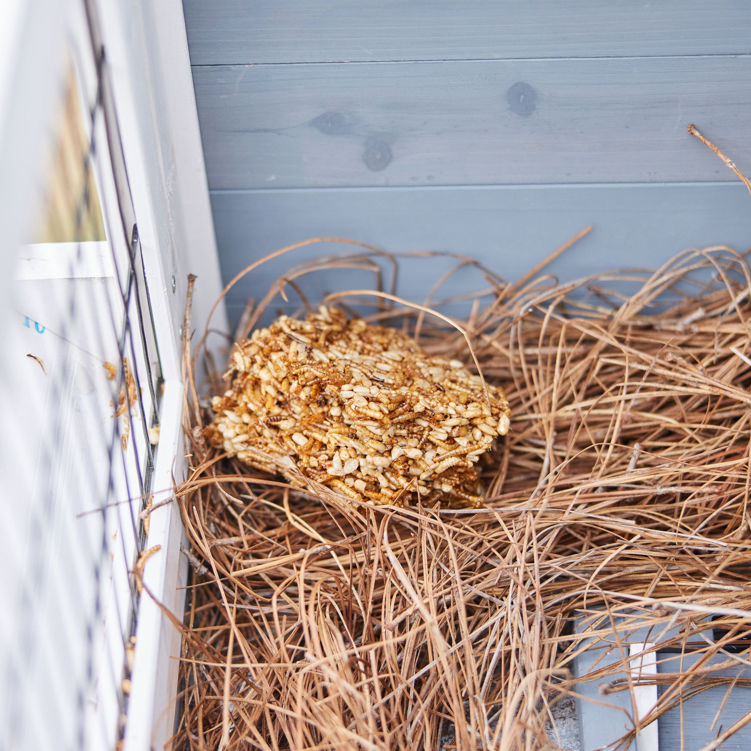 Pecking Order 009334 Poultry-Feed - View #6