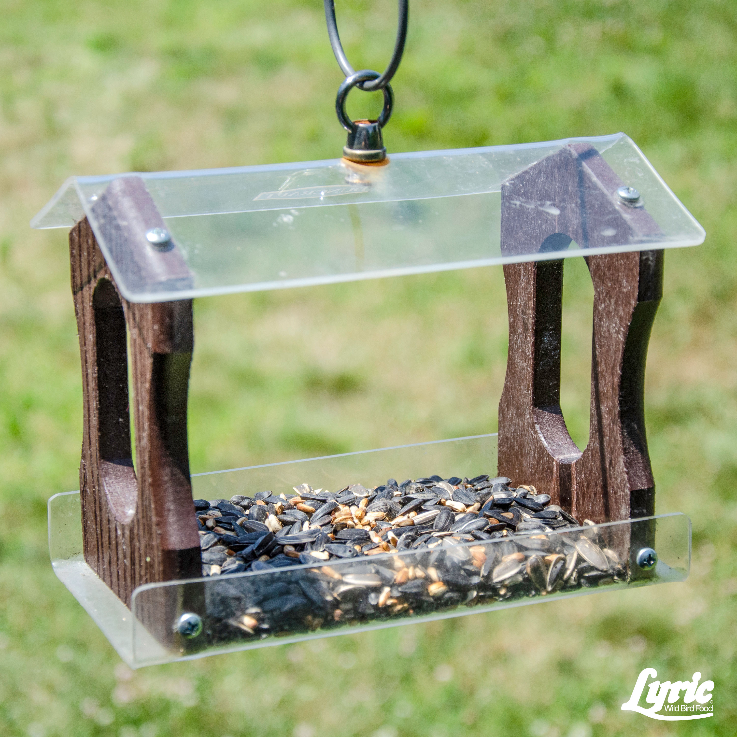 Lyric 2647342 Bird-Squirrel-Food - View #8
