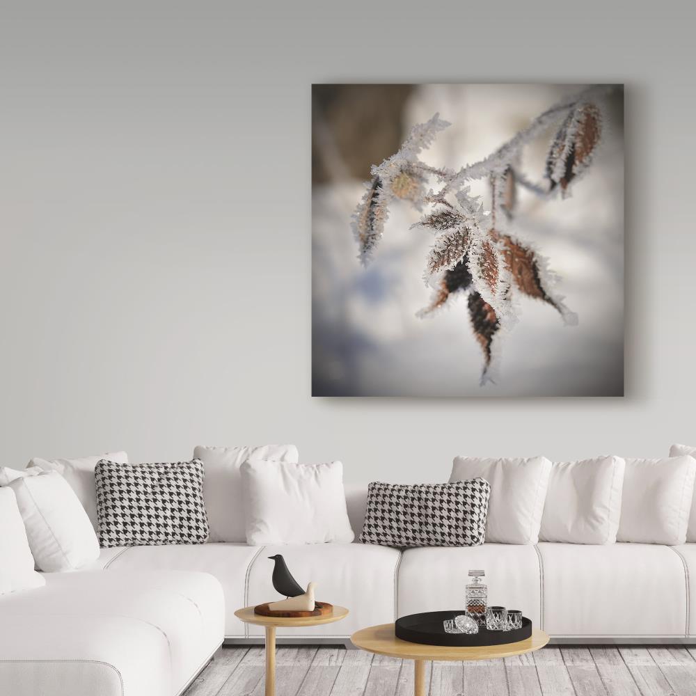 Trademark Fine Art CSL00029-C1414GG Wall-Art - View #3