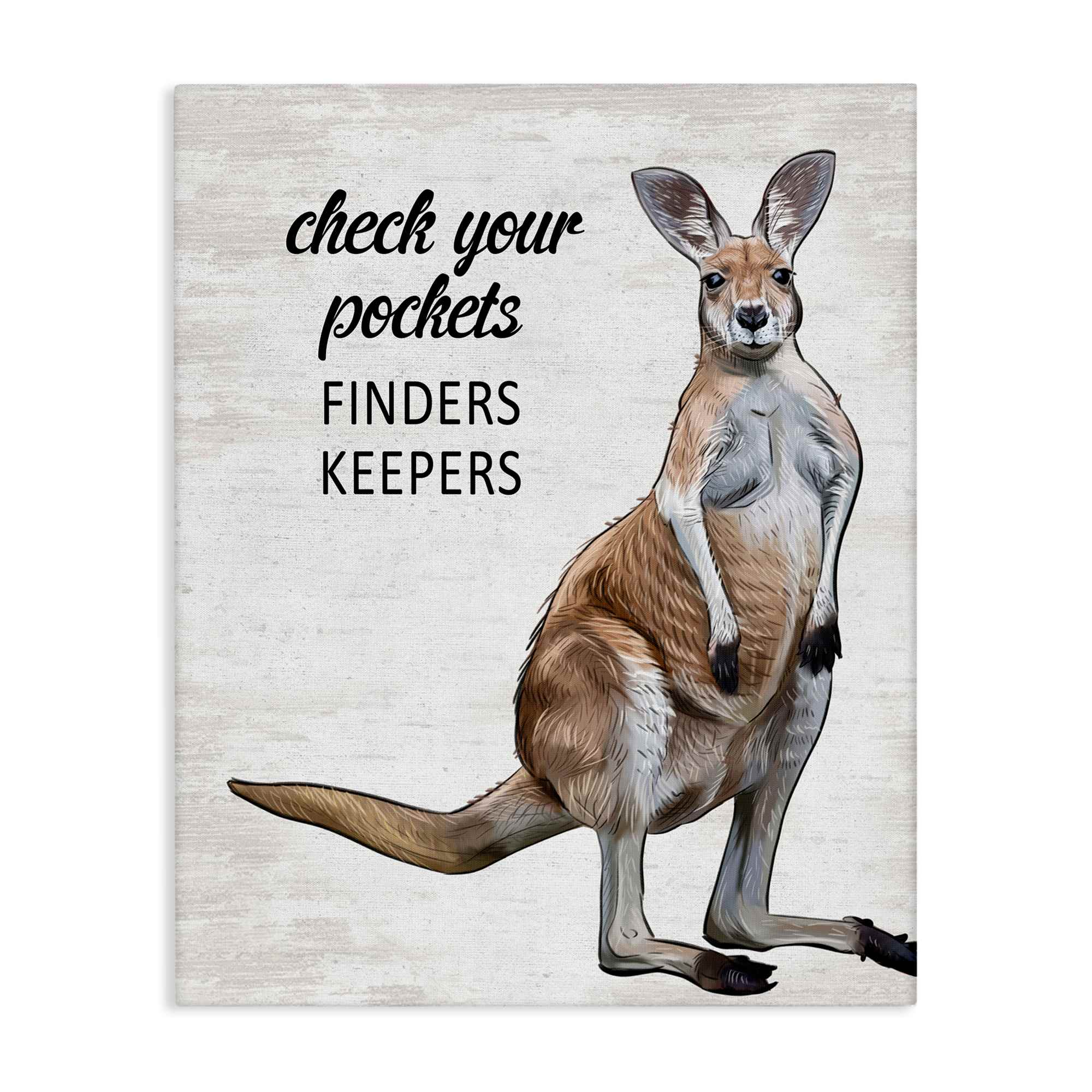 Stupell Industries BS-895-CN-30X40 Check Pockets Laundry Rule Canvas Wall Art By Lettered and Lined 30 x 40