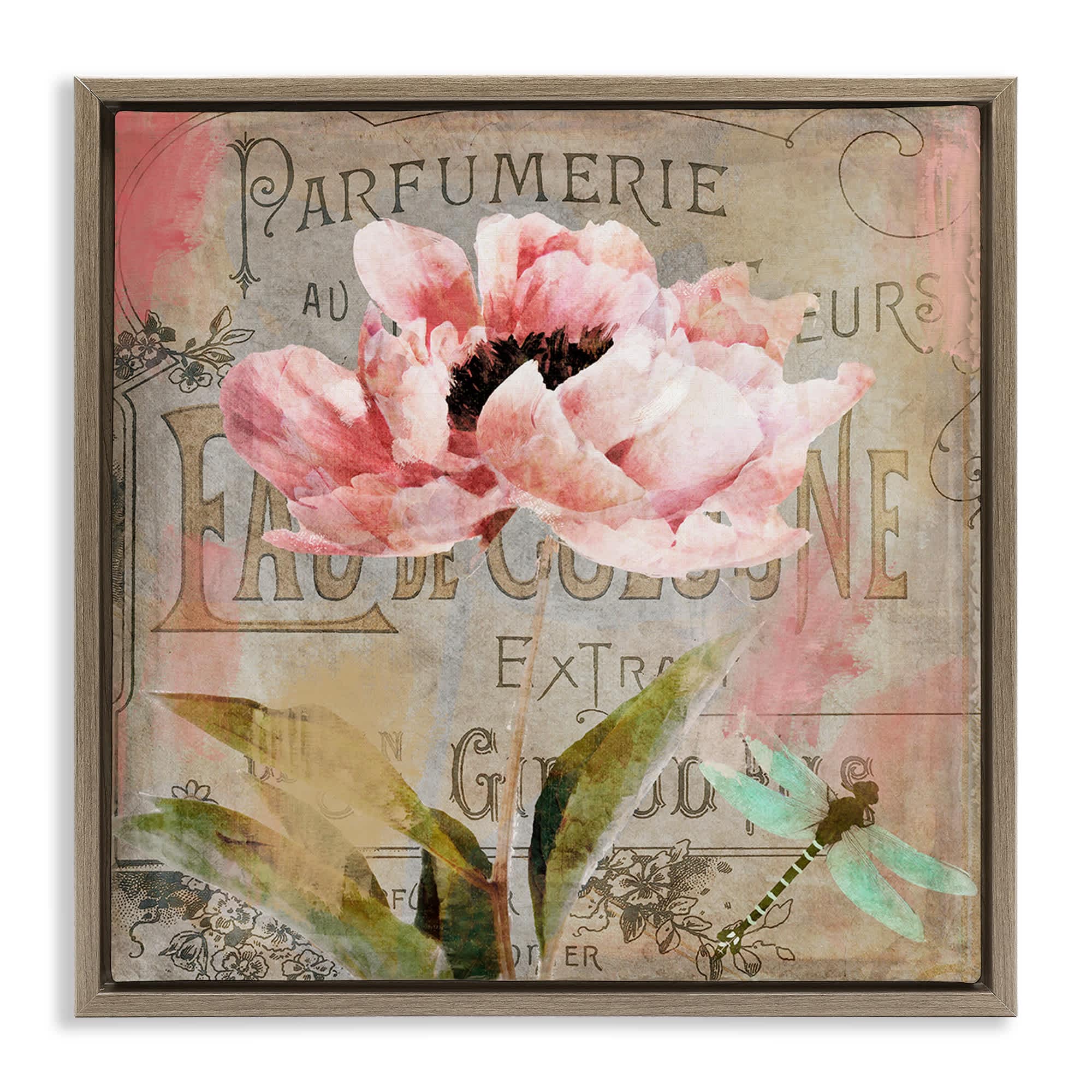 Stupell Industries BT-005-FFE-17X17 French Vintage Blossom Brown Framed Floater Canvas Wall Art By Sasha 18 x 18