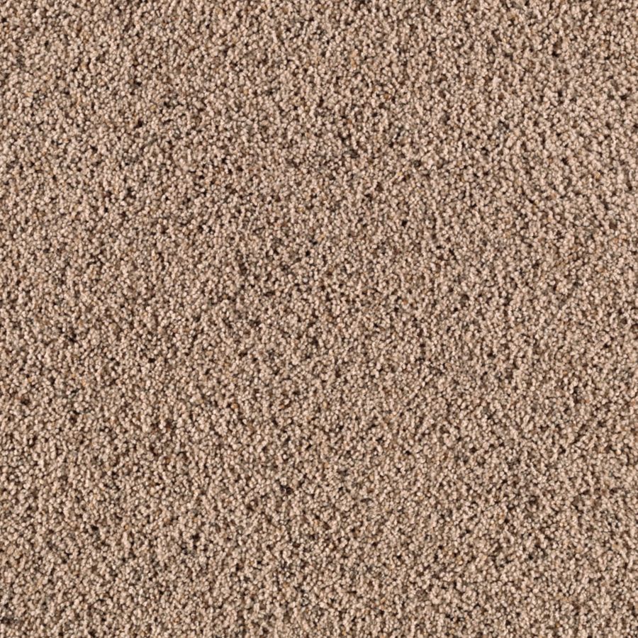 STAINMASTER S622588DRY DOCK-LE I (Sample) Essentials Renewed Style I Dry Dock Shag/Frieze Carpet