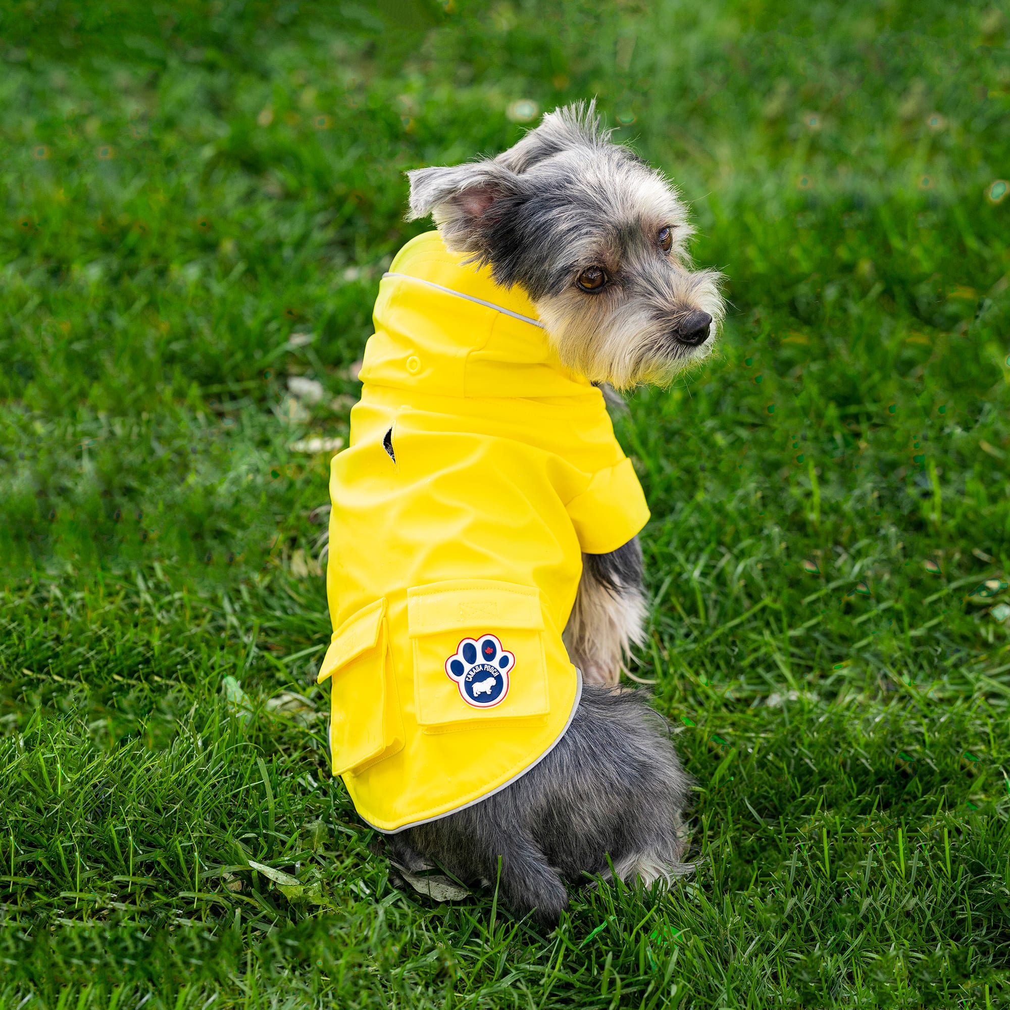Canada Pooch 3039  - View #5