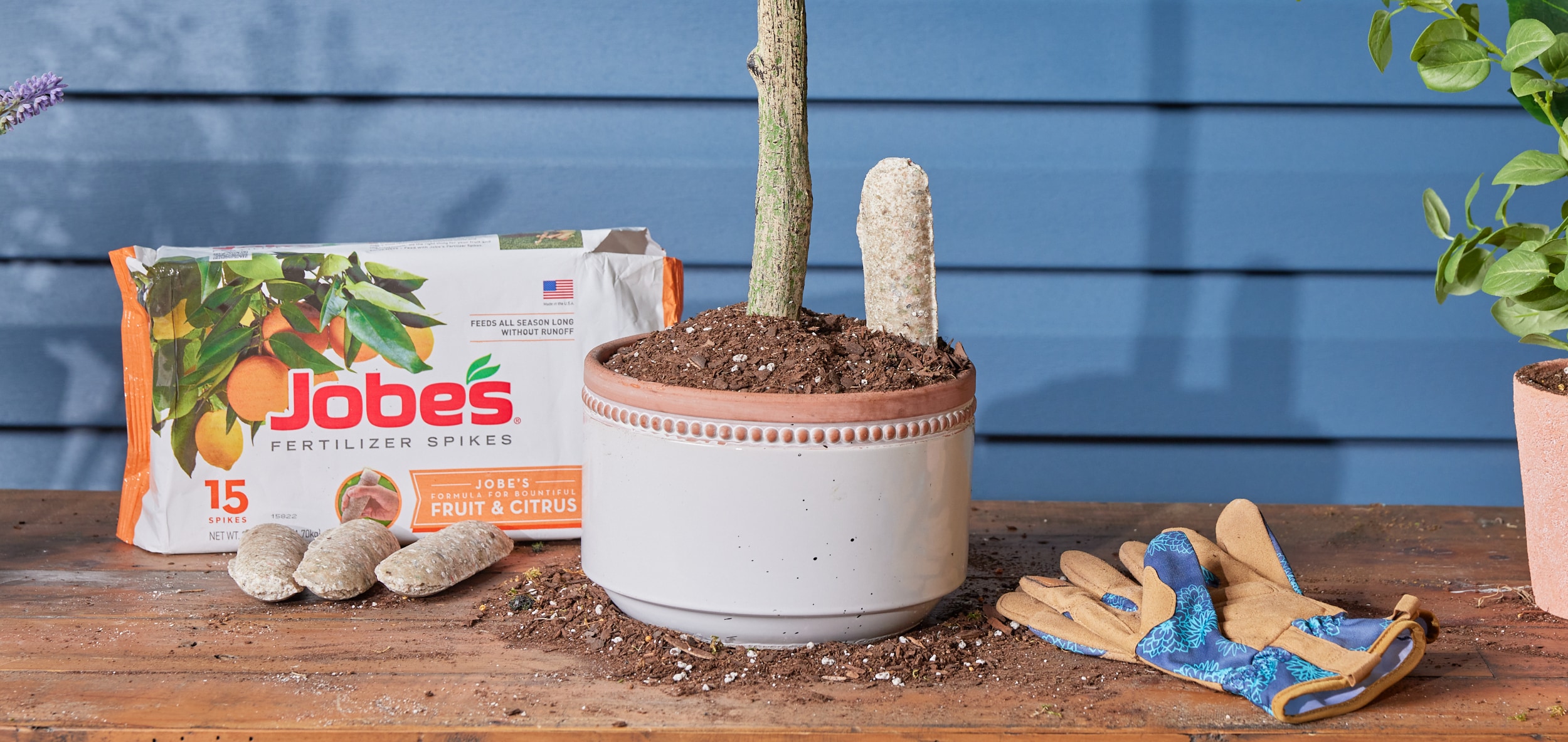 Jobe's 15-Count Spikes Tree and Shrub Food in the Plant Food department at