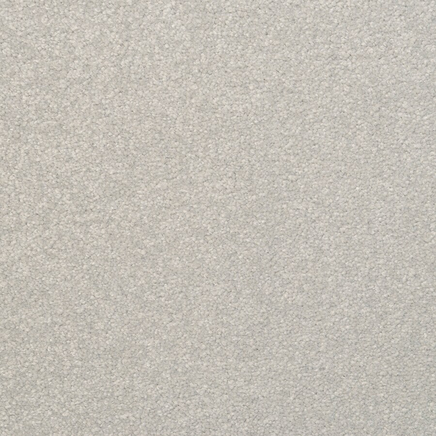 STAINMASTER 4594-225 Influential Silver Birch Textured Indoor Carpet