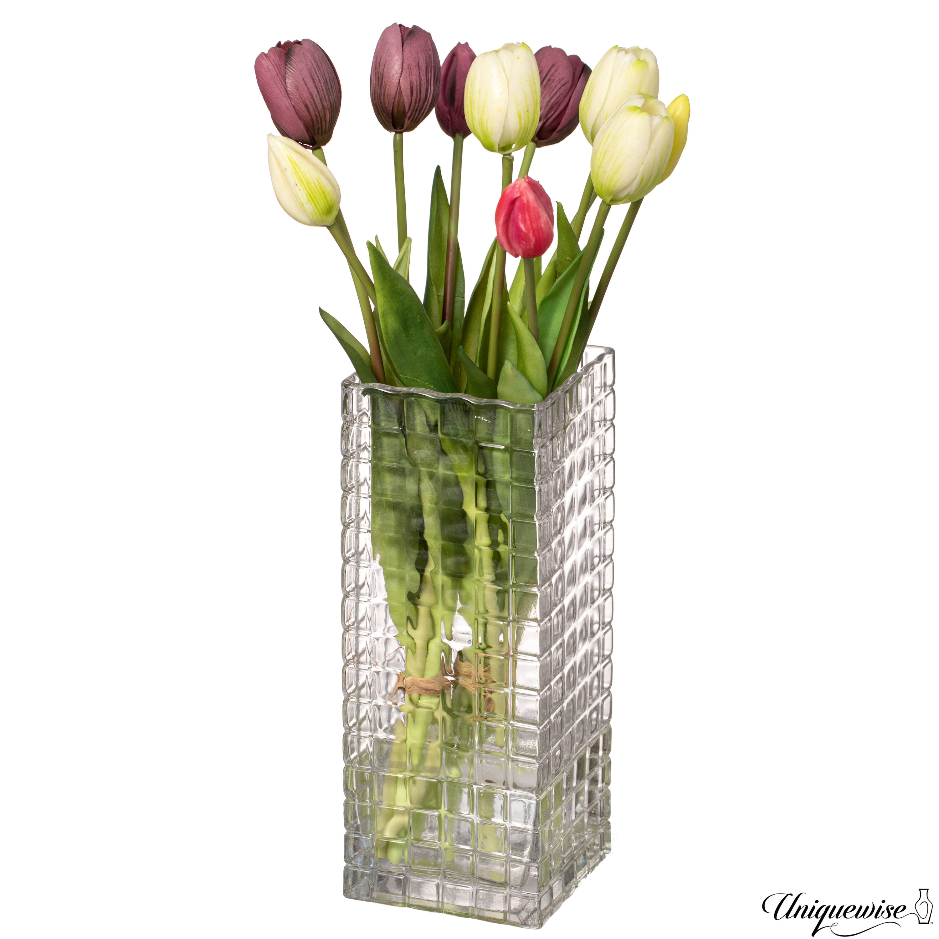 Uniquewise QI004738.CR.S Clear Glass Modern Vase