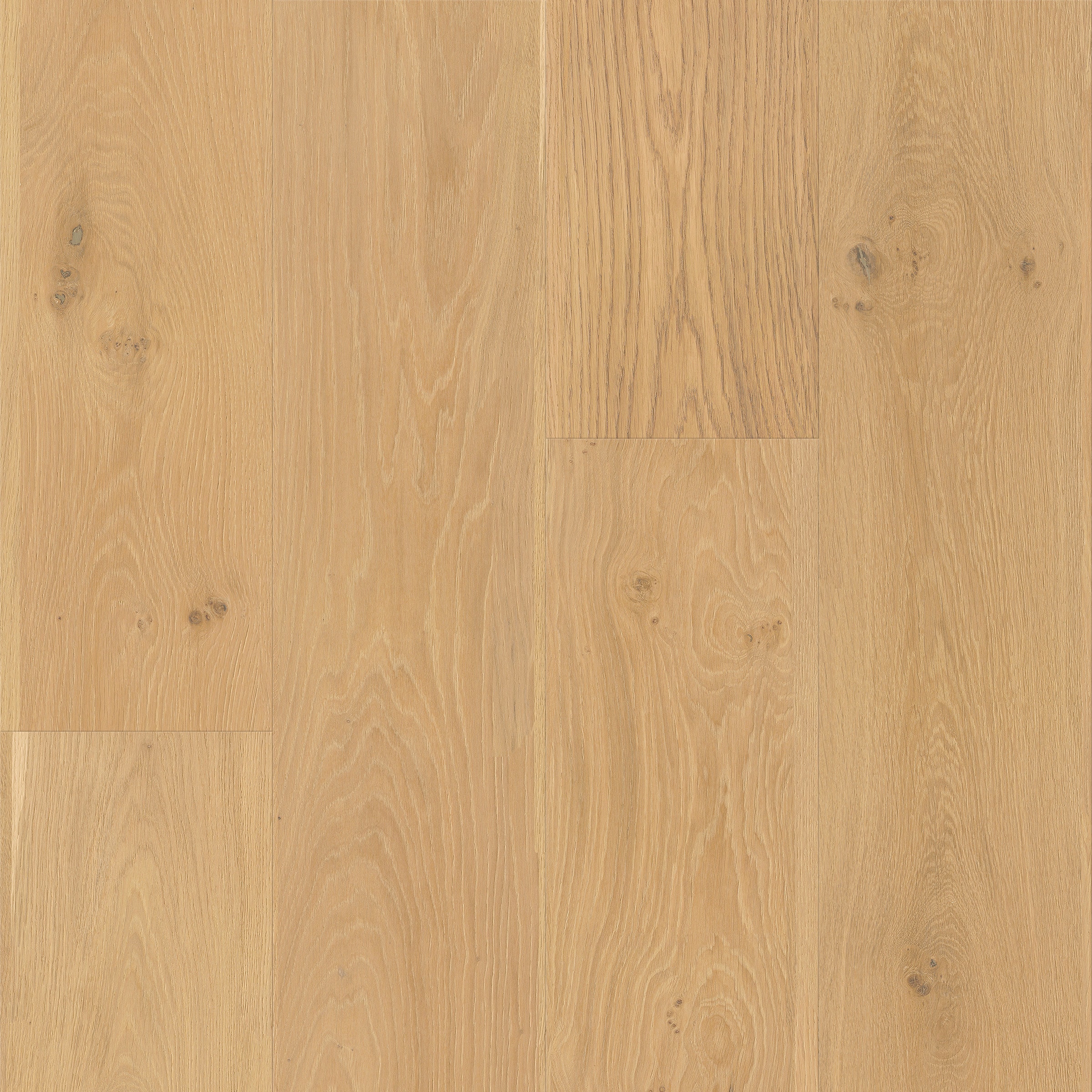 CALI 7703000118 Floor-Moulding - View #3