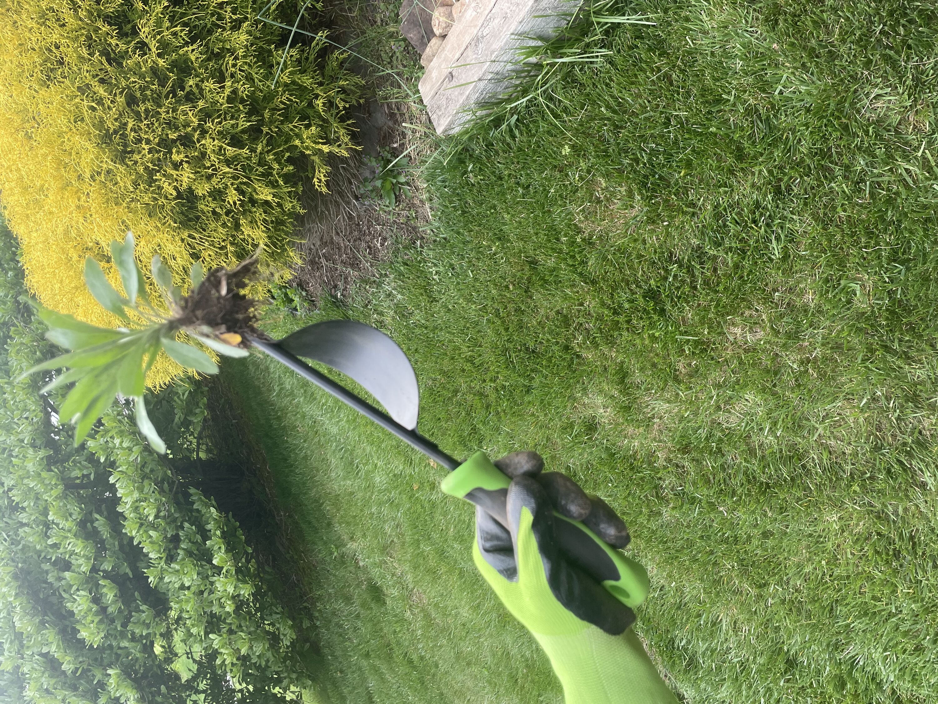 CHARGUY 2 Speciality-Garden-Hand-Tools - View #3