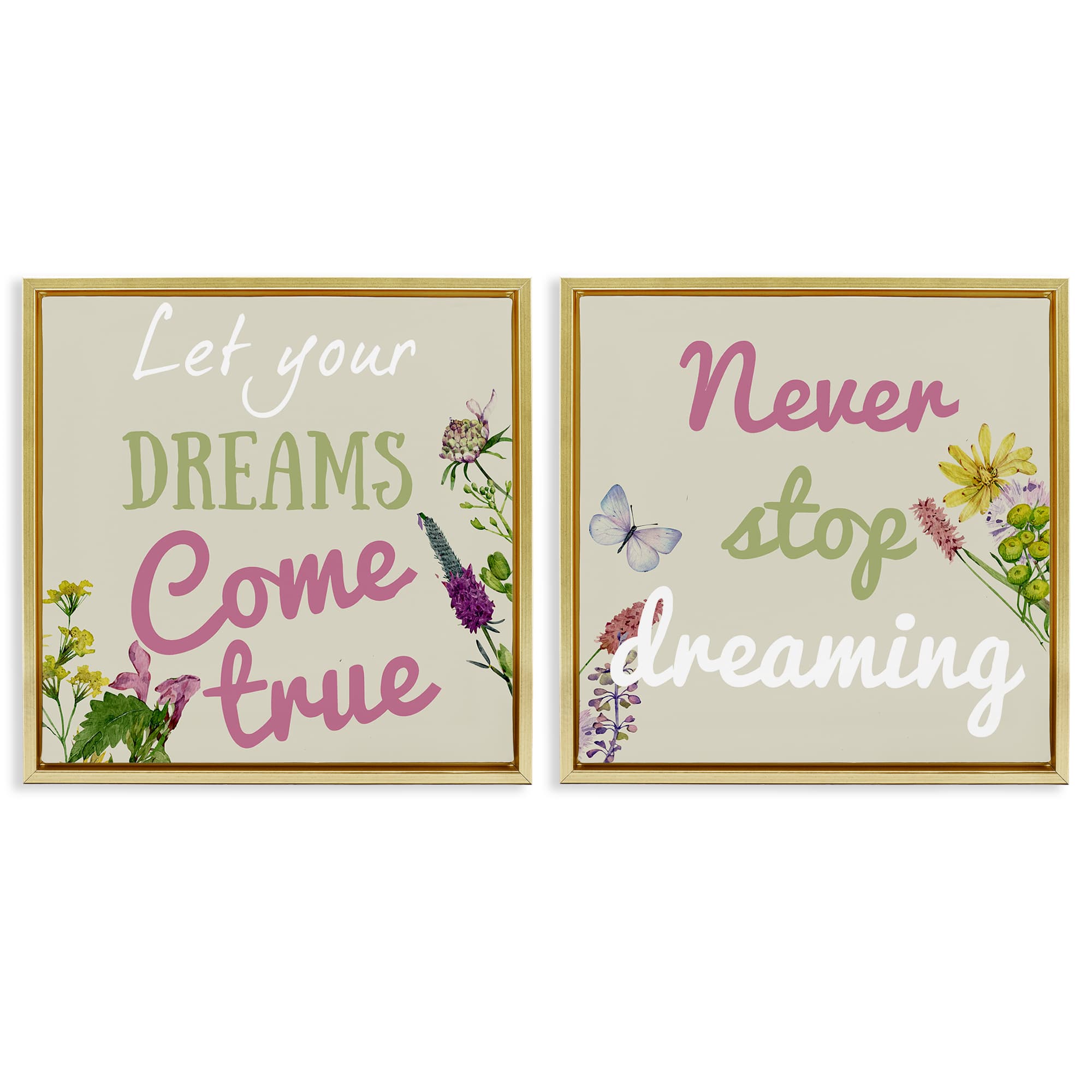 Stupell Industries B2-778-FFG-2PC-24X24 Motivational Dream Sentiments 2pc Floating Frame Set design by Kim Allen