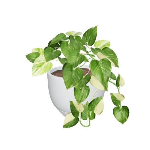 Three-dimensional representation of the product