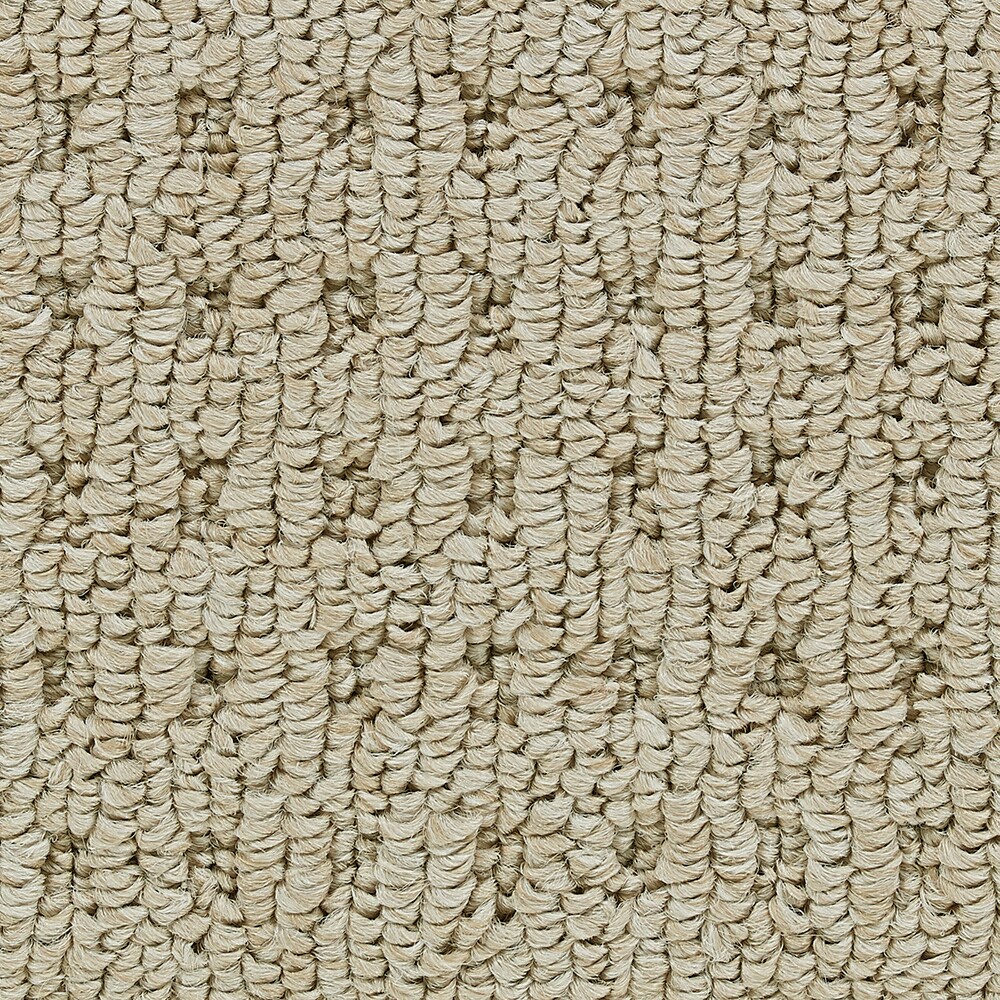 Coronet B7069-08-1200-AB 15-ft Program Relaxed Textured Interior Carpet