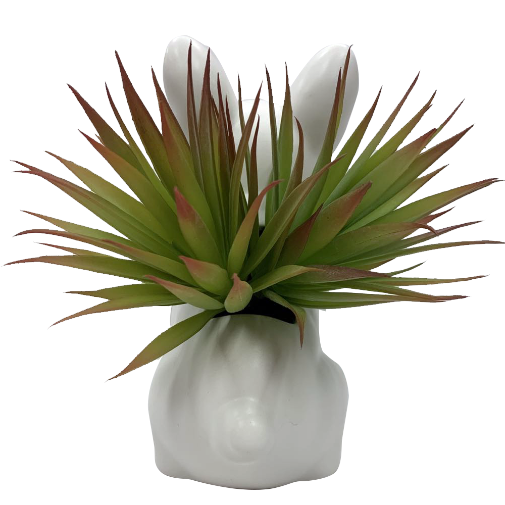 Allen + Roth 8-in Green and White Indoor Artificial Succulent Plants