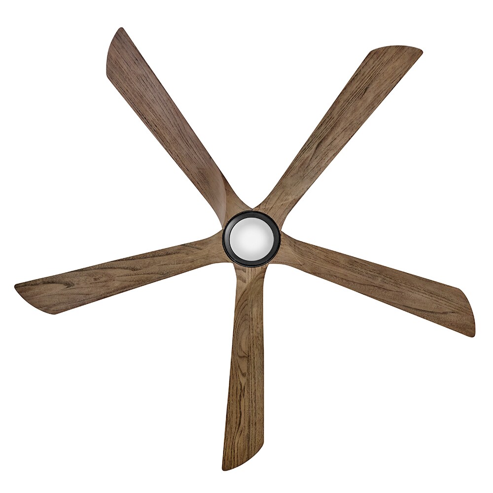 Hinkley 907358FDB-LDD Ceiling-Fans - View #4