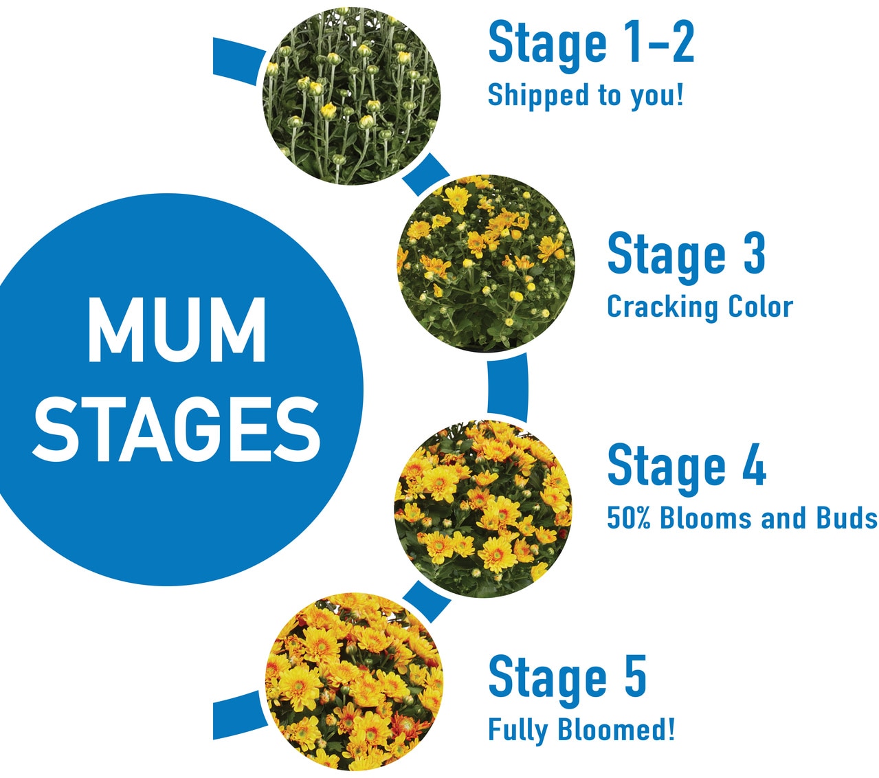 5 Stages of Plant Mom 🌱 