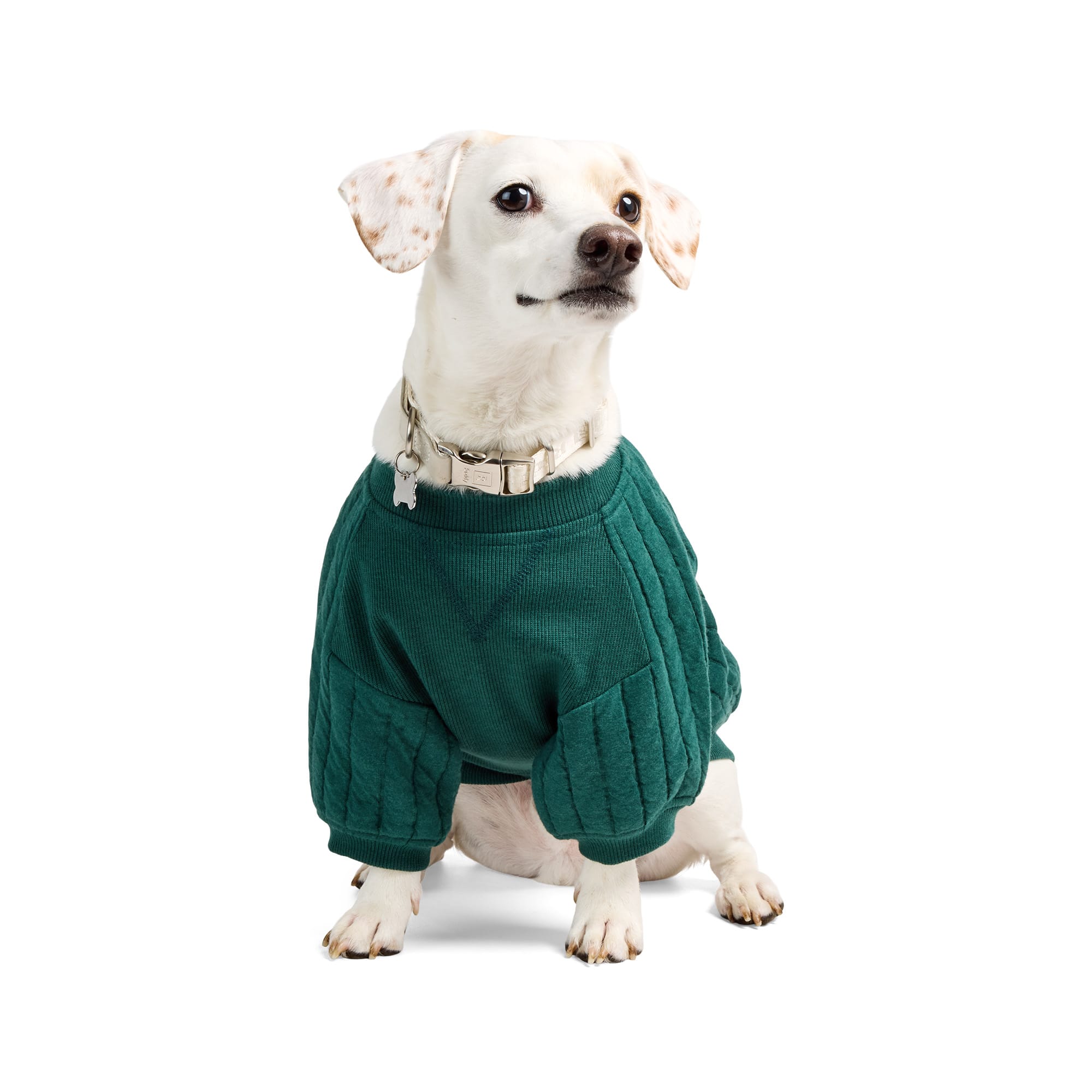 Reddy 24P1113-LG Dog-Clothing-Acc - View #2