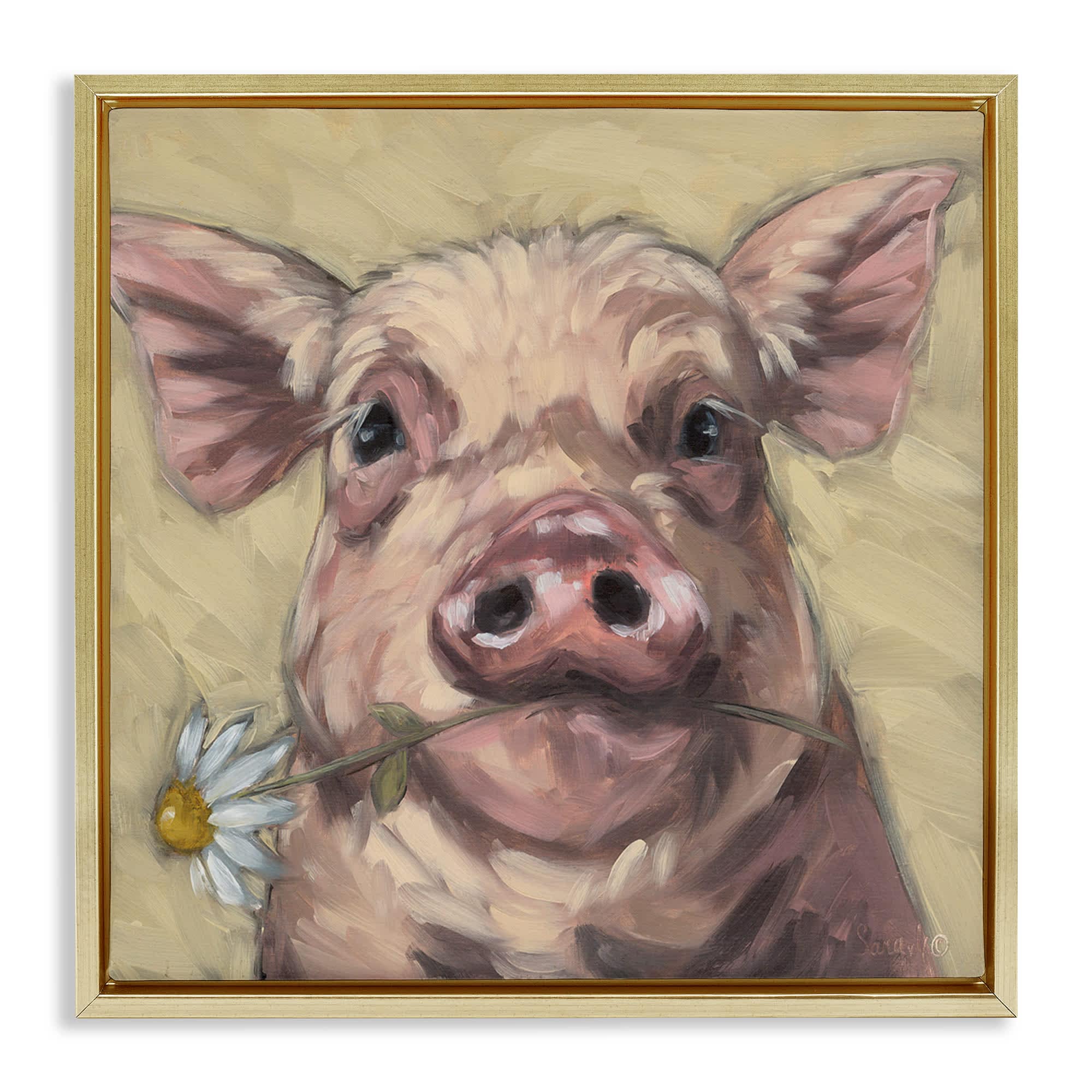Stupell Industries BS-678-FFG-17X17 Pig Holding Daisy Sprig Gold Framed Floater Canvas Wall Art By Sara G. Designs 18 x 18