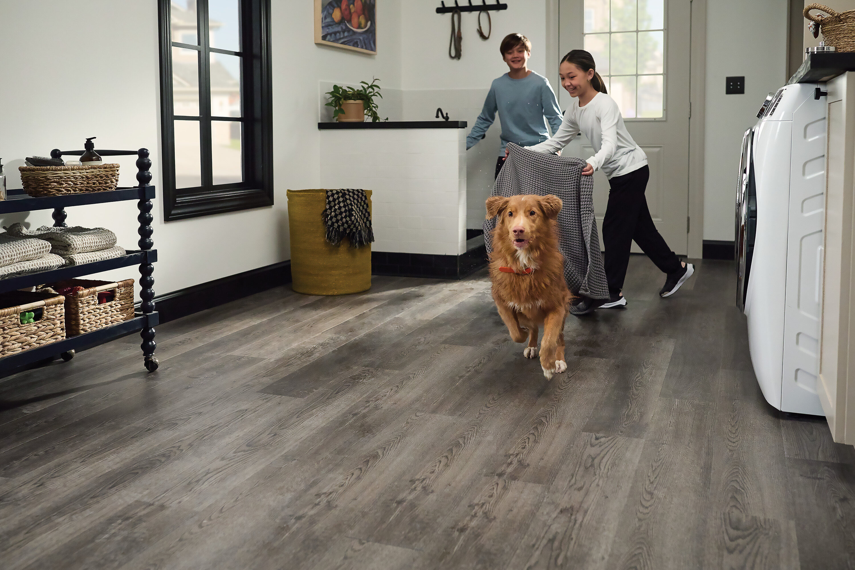 STAINMASTER PetProtect LX954-5202-SAMP Luxury-Vinyl-Plank-Samples - View #5