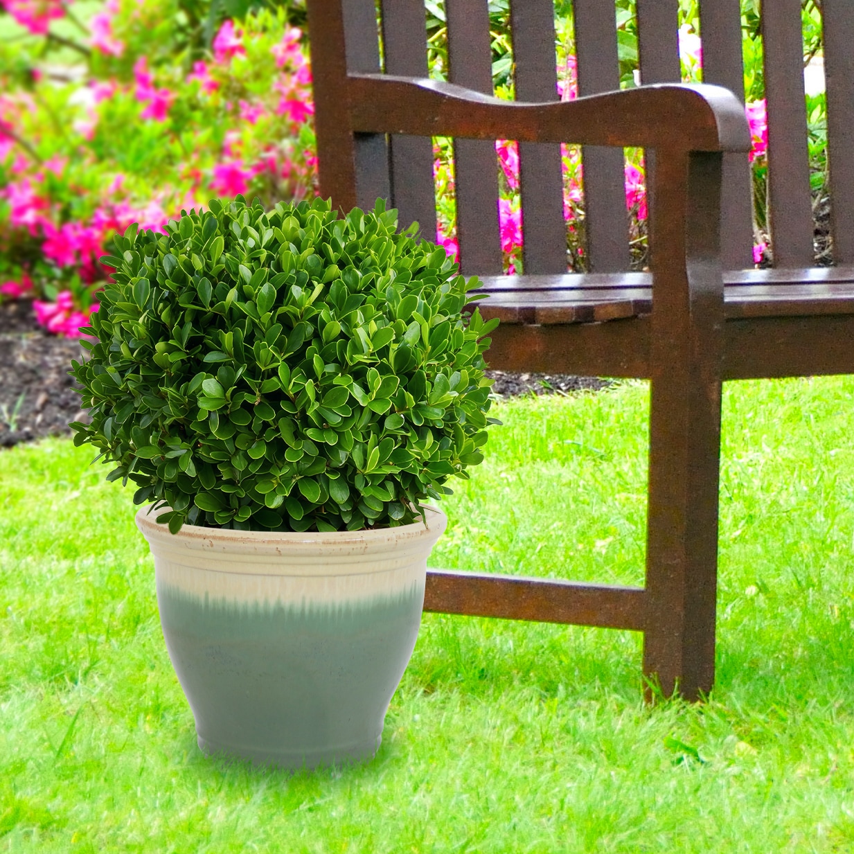 Sunnydaze Decor AP-988 Planter-Window-Box - View #17