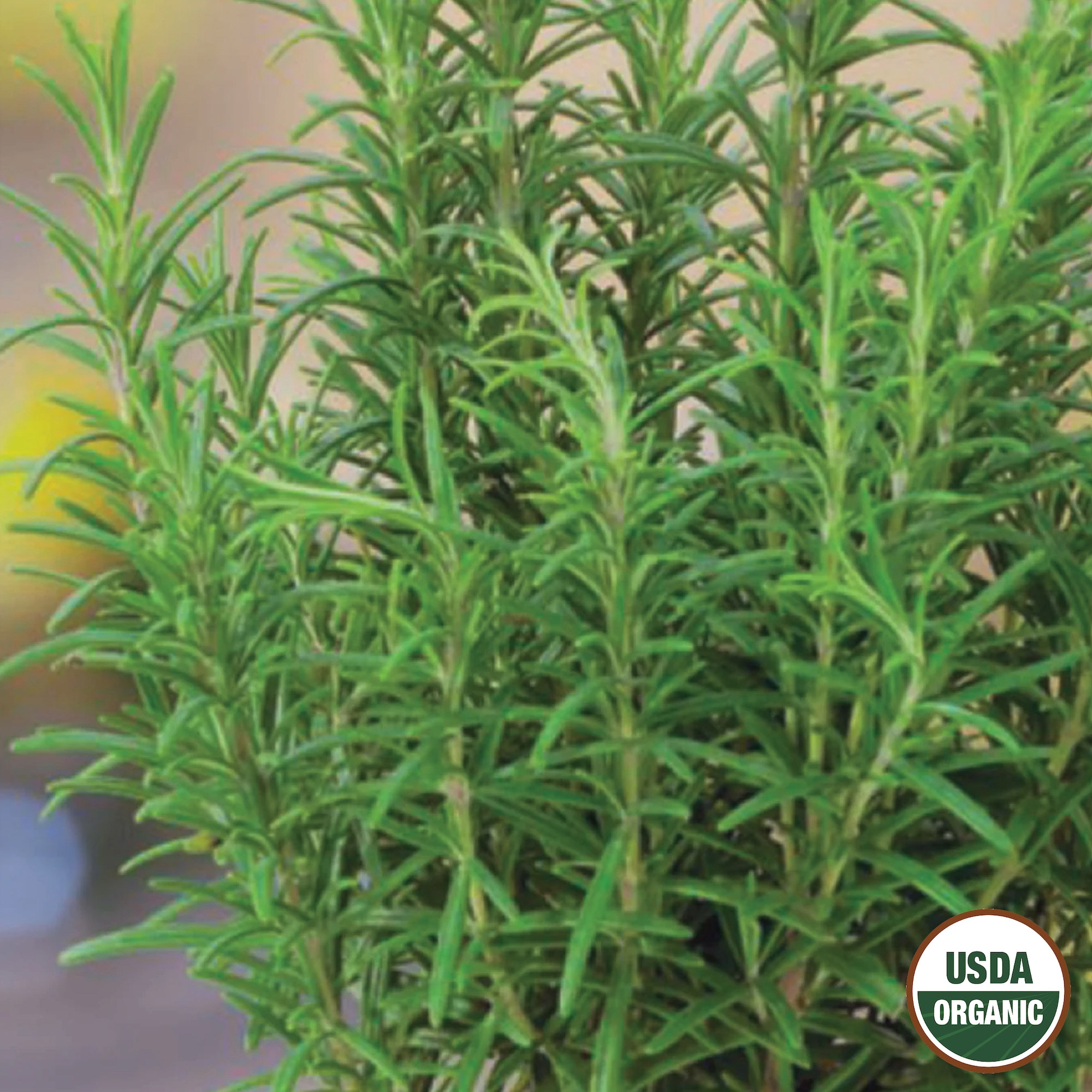 Ferry-Morse LC25.9565 Vegetable-Herb-Seeds - View #3