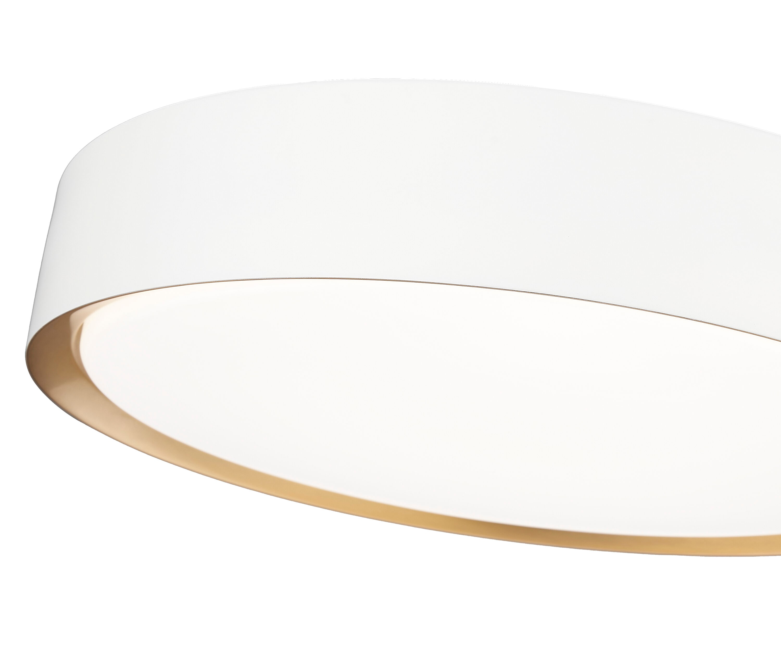 Z-Lite 1014F16-MW-MGLD-LED flushmounts - View #6