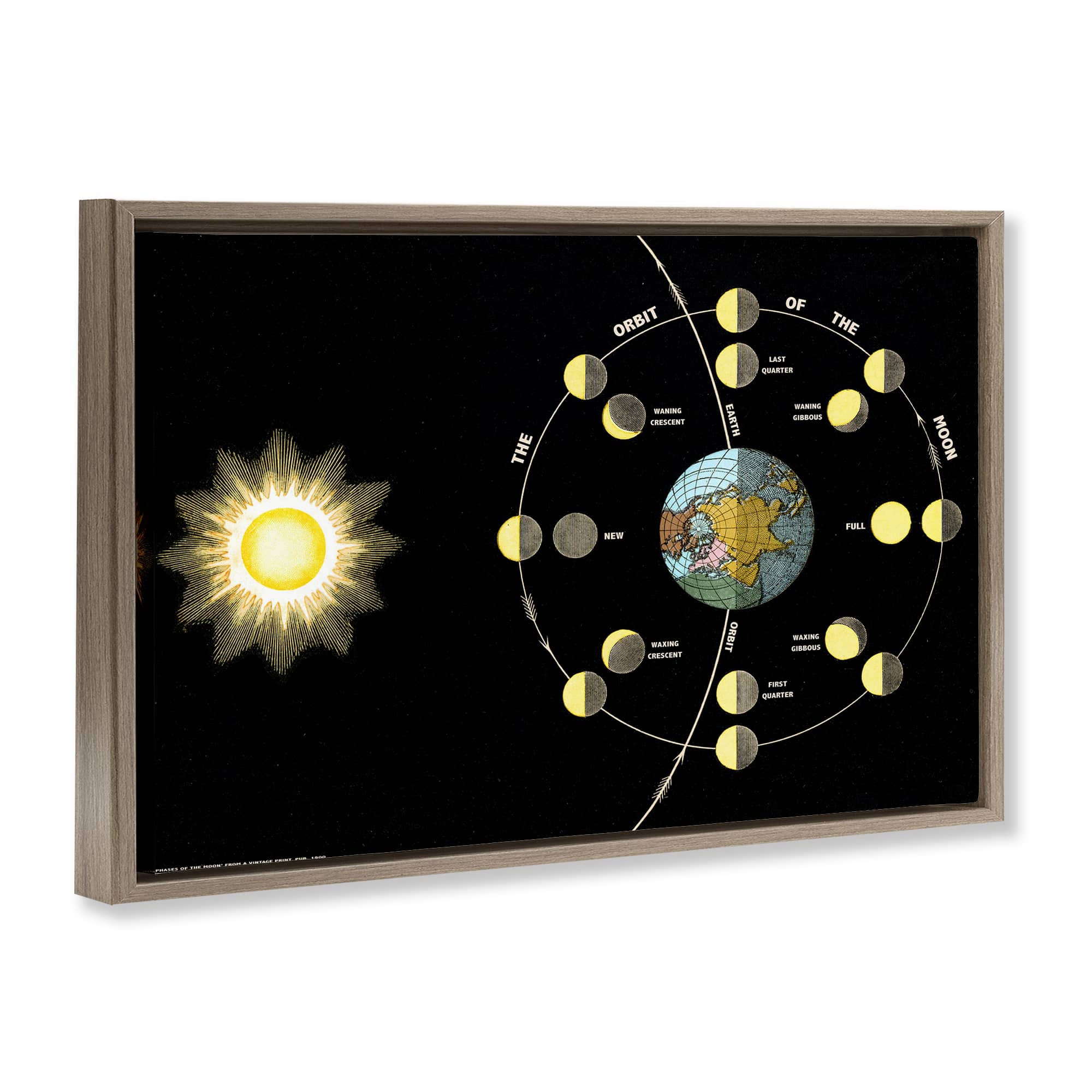 Stupell Industries BT-485-FFE-20X30 Wall-Art - View #2