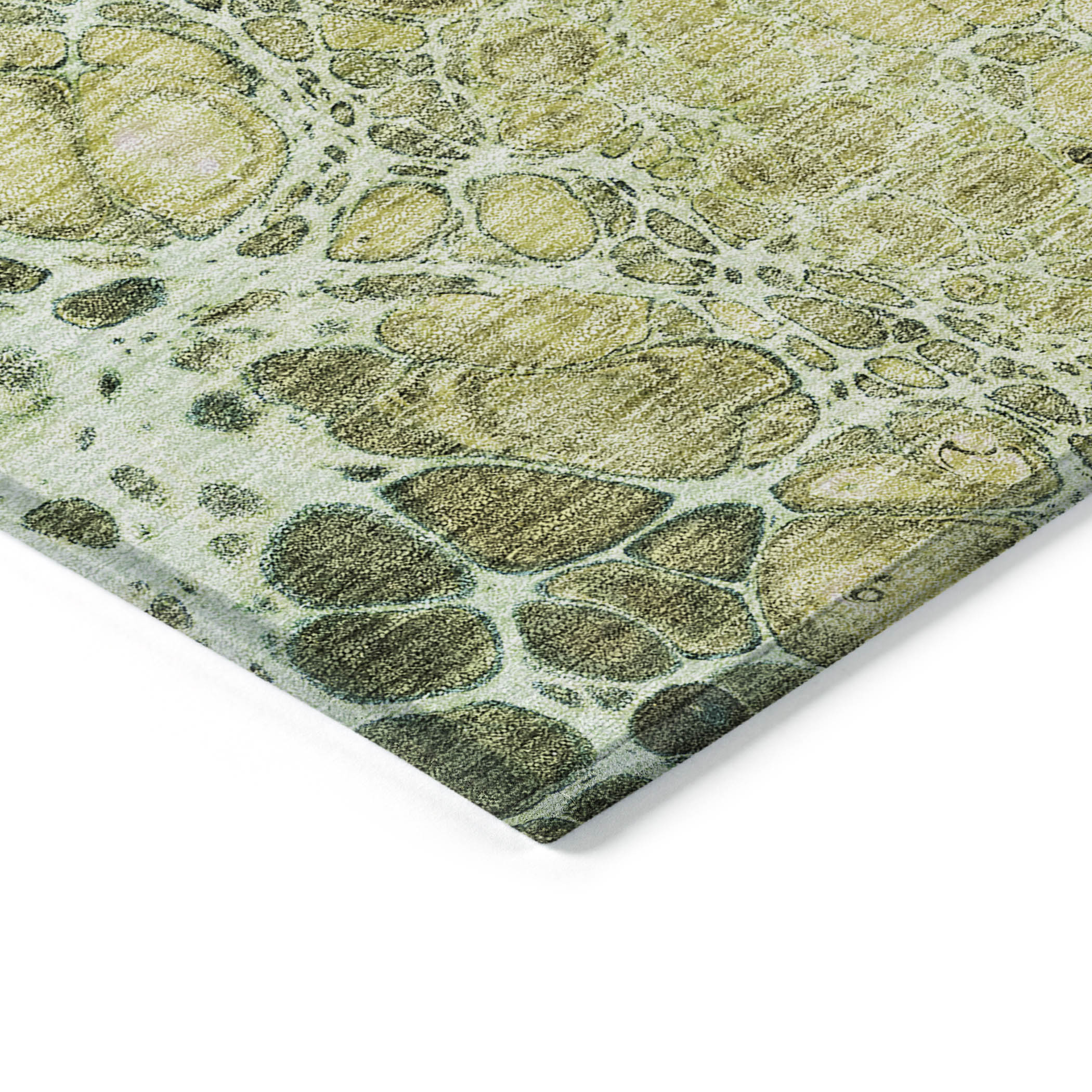 Addison Rugs ACN707OL2X8 rugs - View #2
