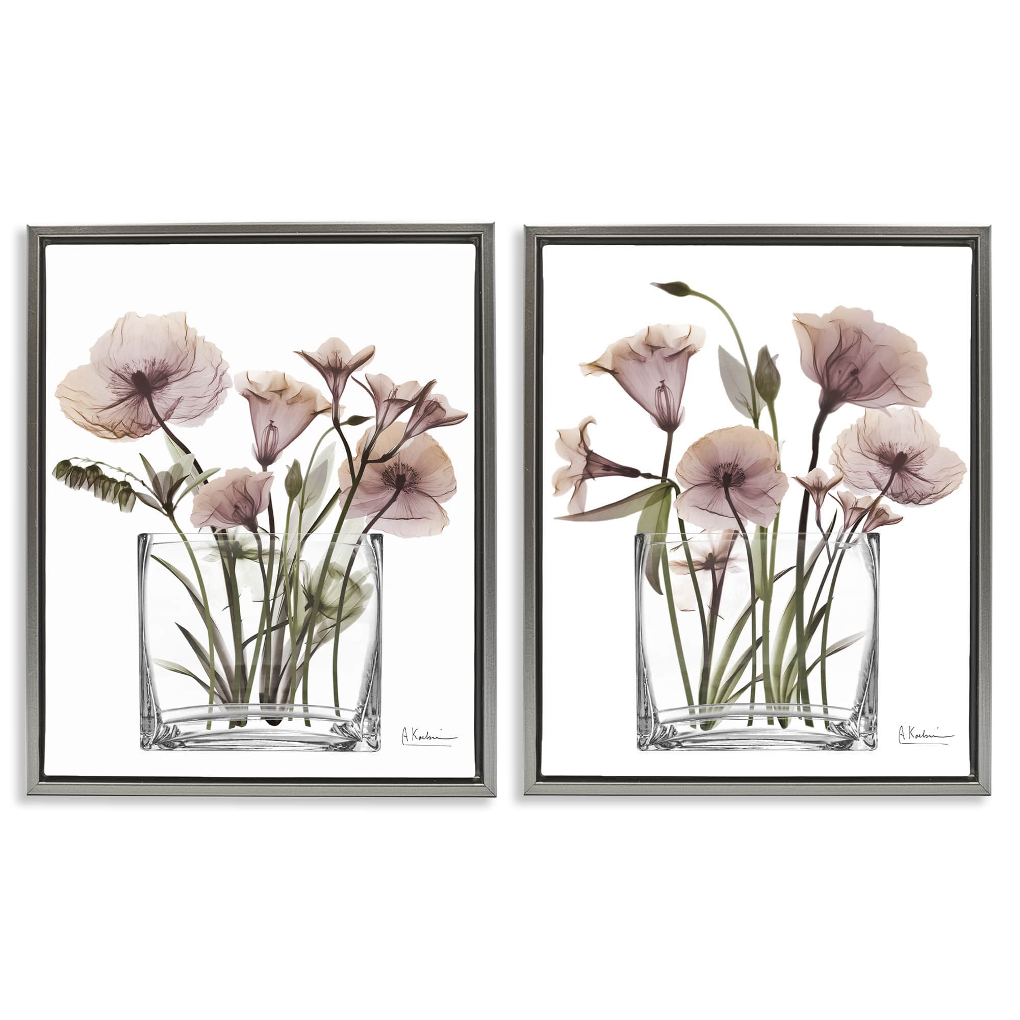 Stupell Industries B2-703-FFL-2PC-16X20 Earthy Infatuation Bouquet 2 Piece Gray Framed Floater Canvas Set By Albert Koetsier 17 x 21