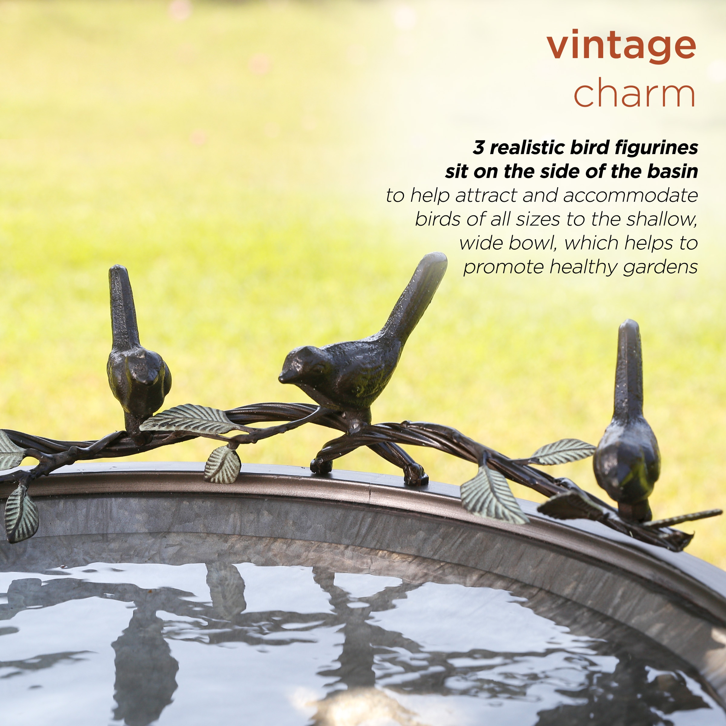 Alpine Corporation ORS684 birdbaths - View #7