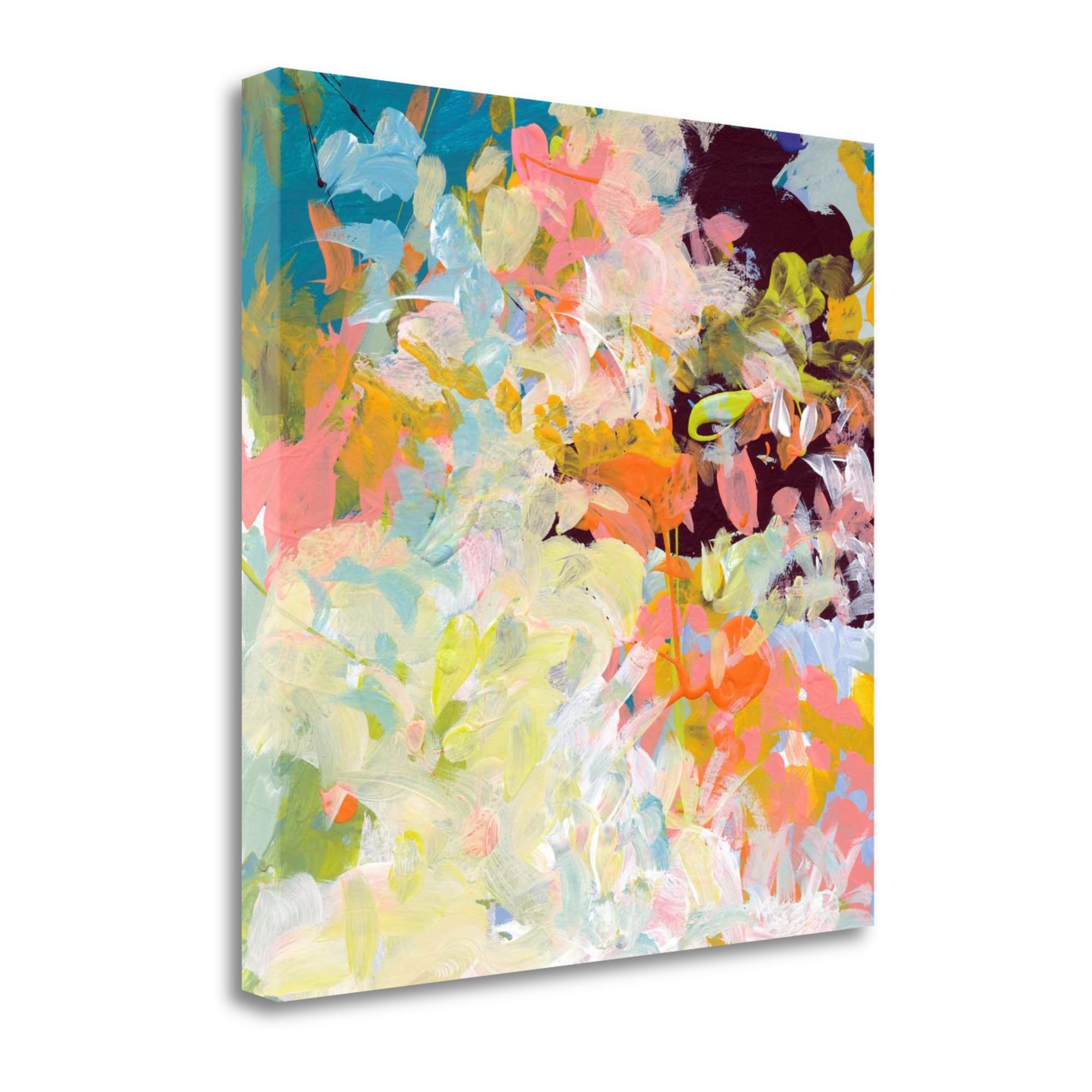 Tangletown Fine Art ICW615D-2525C Lunar Freefall 1 Jan Weiss 25-in H x 25-in W Abstract Print on Canvas