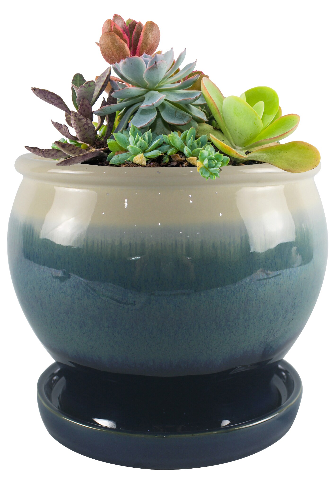 Trendspot LEDB10021-08MS Planter-Window-Box - View #2