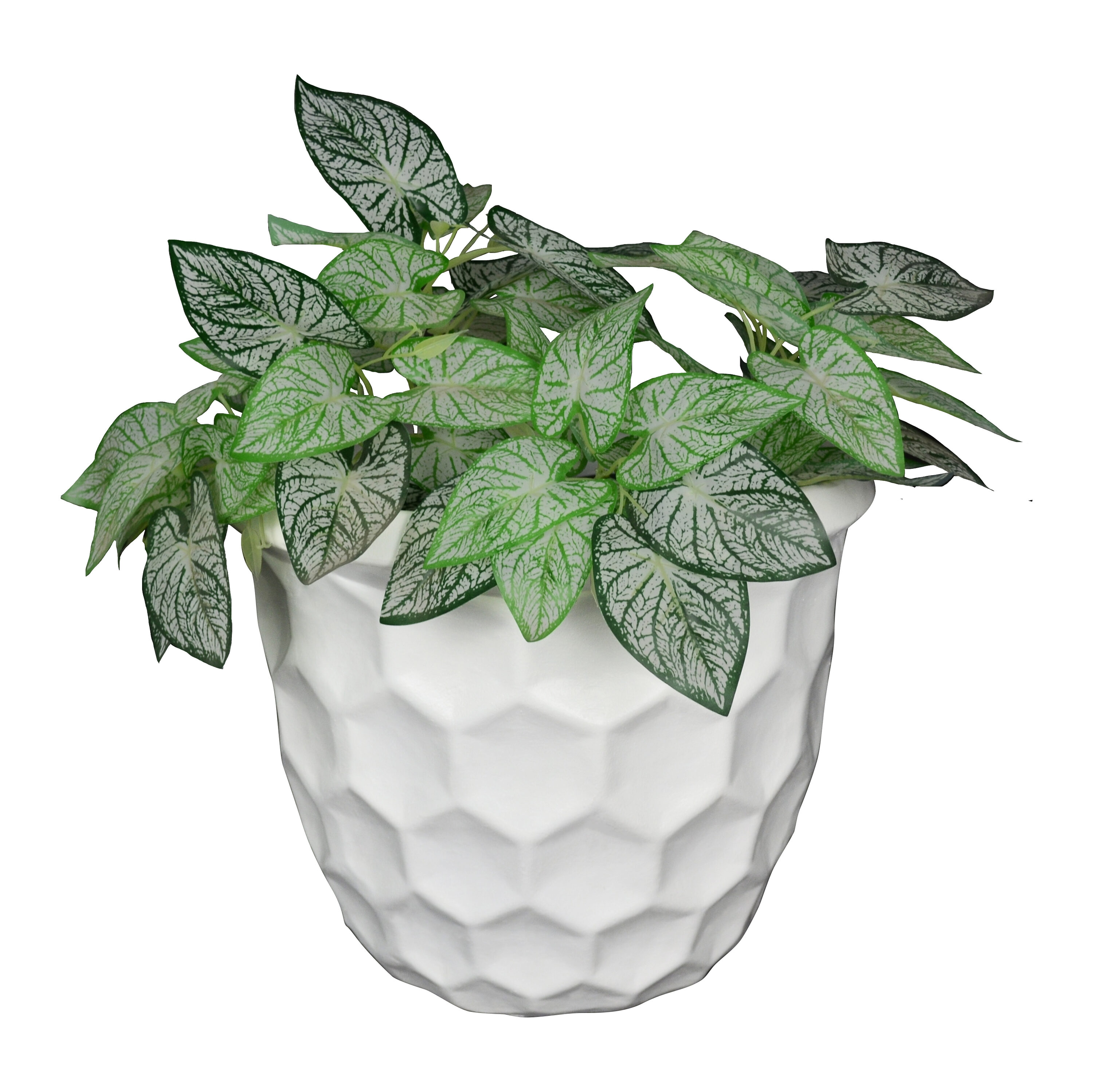 Evergreen 2CG848 Planter-Window-Box - View #2